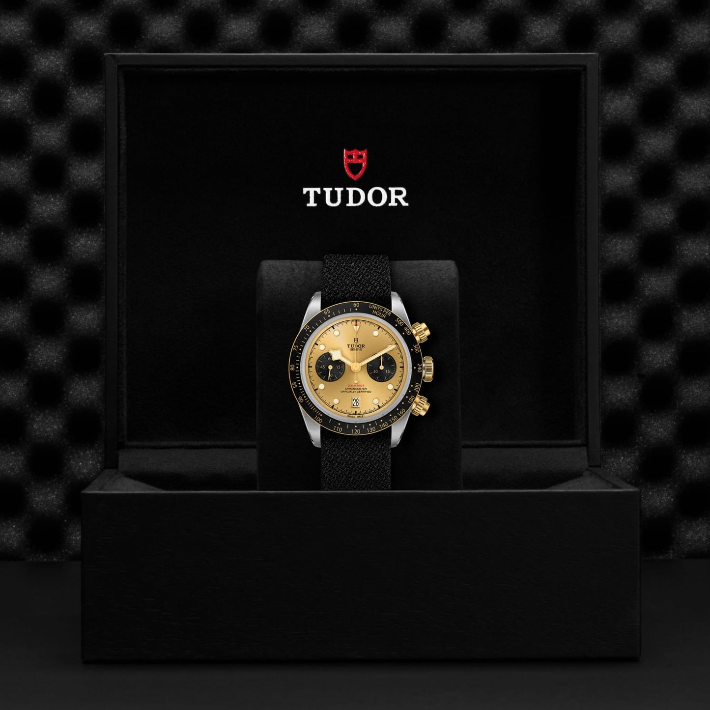 TUDOR BLACK BAY CHRONO S&G M79363N-0006