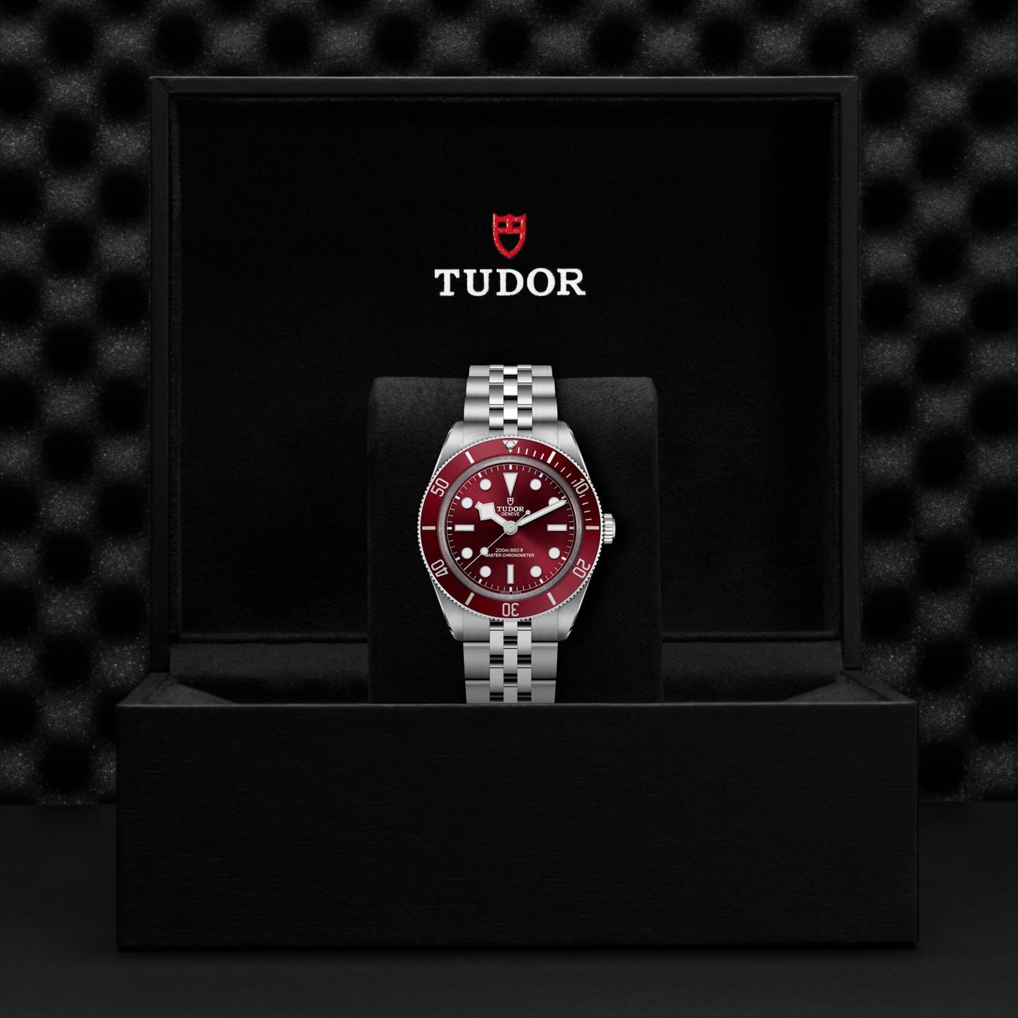 TUDOR BLACK BAY 58 M7939A1A0RU-0001