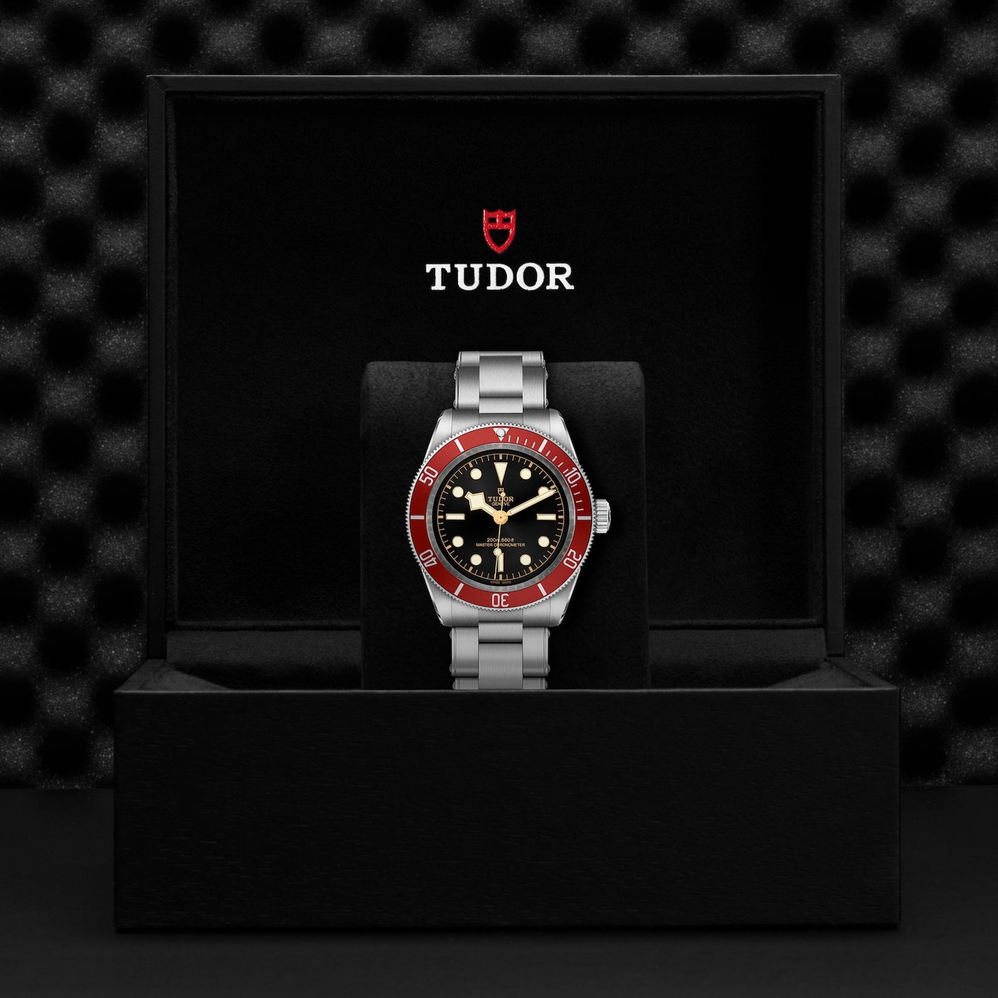 TUDOR BLACK BAY M7941A1A0RU-0001