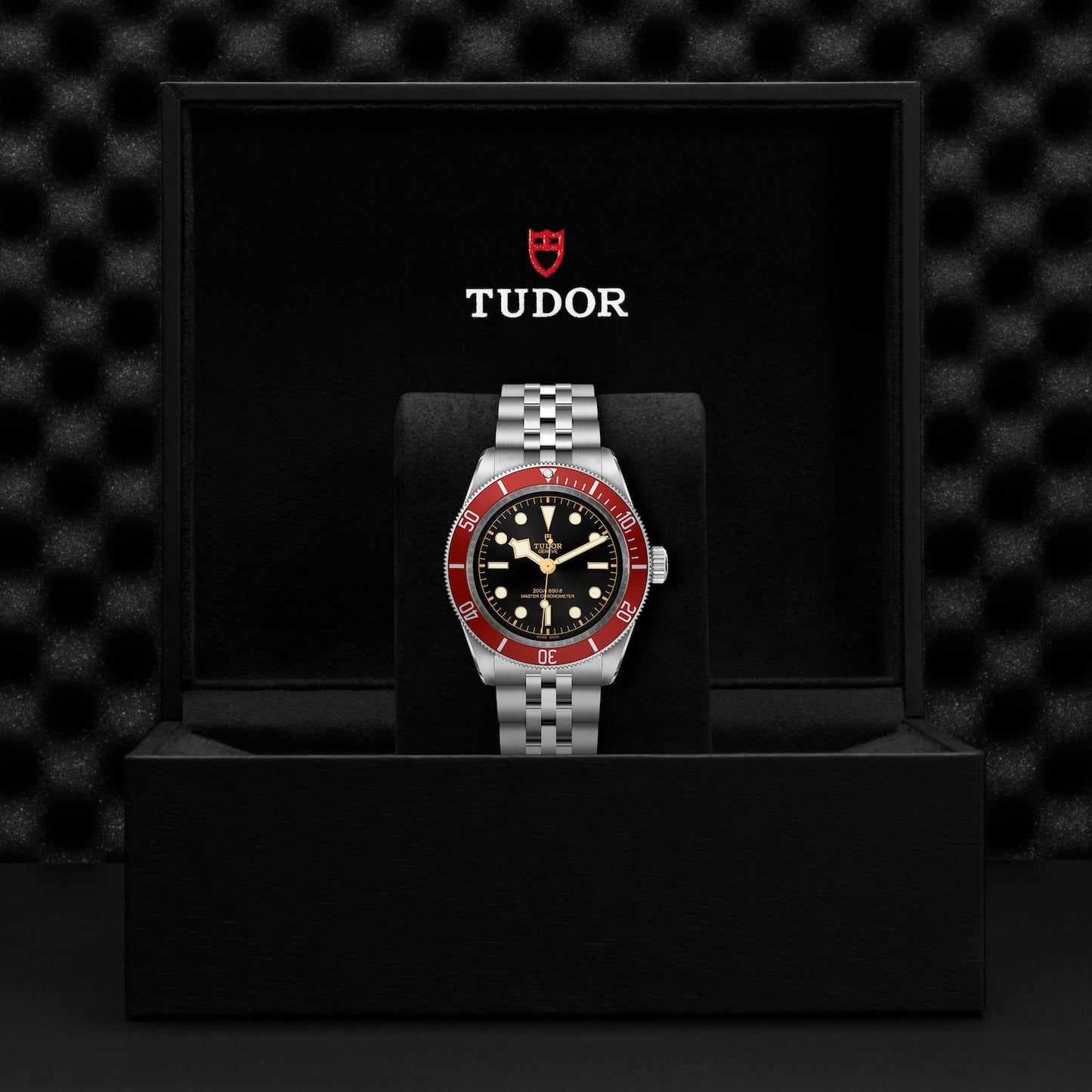 TUDOR BLACK BAY M7941A1A0RU-0003
