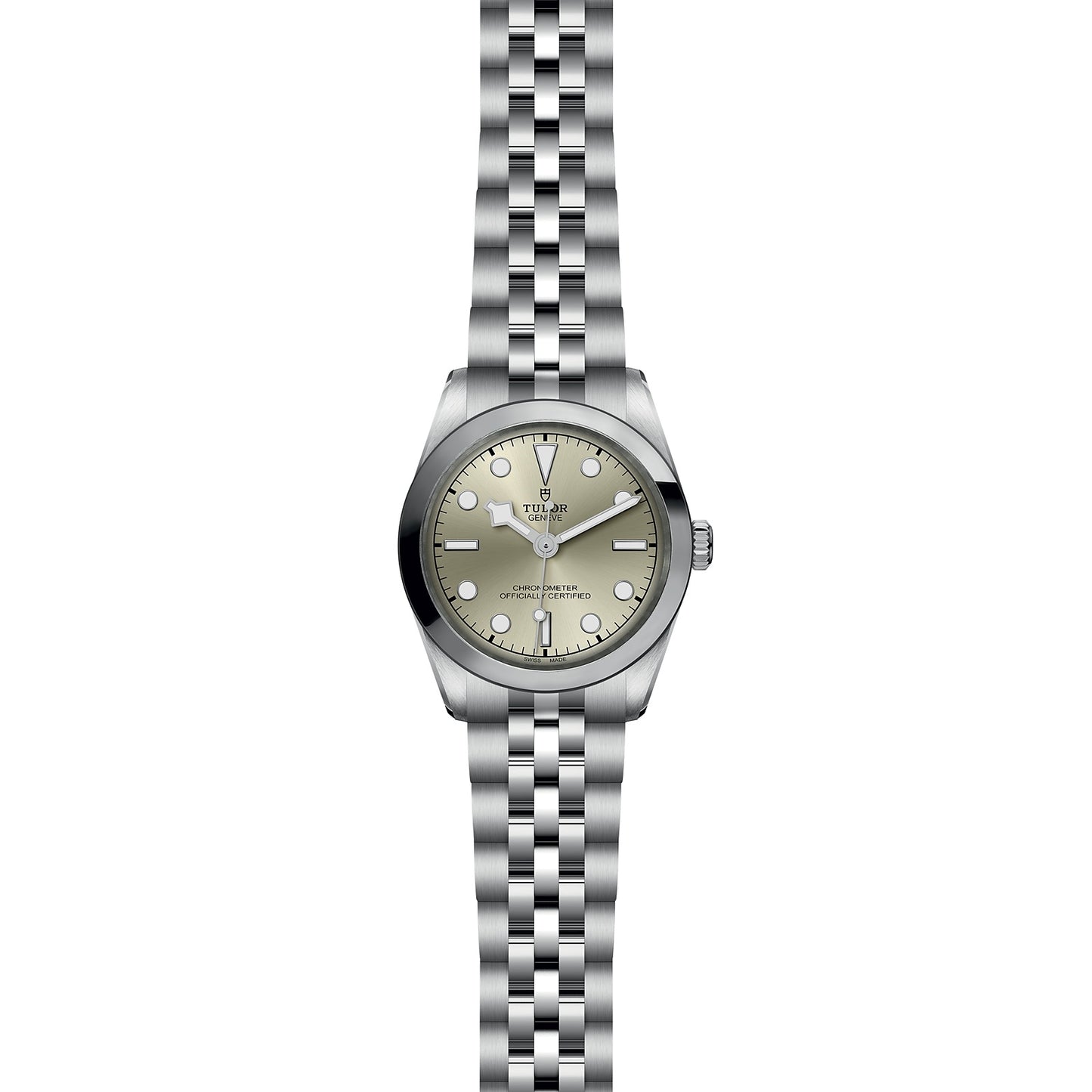 TUDOR BLACK BAY 31 M79600-0003