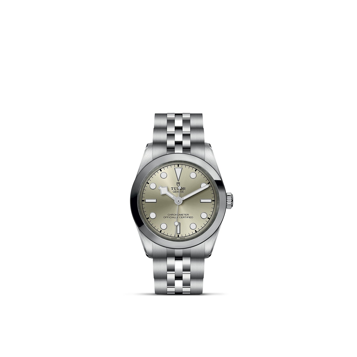 TUDOR BLACK BAY 31 M79600-0003