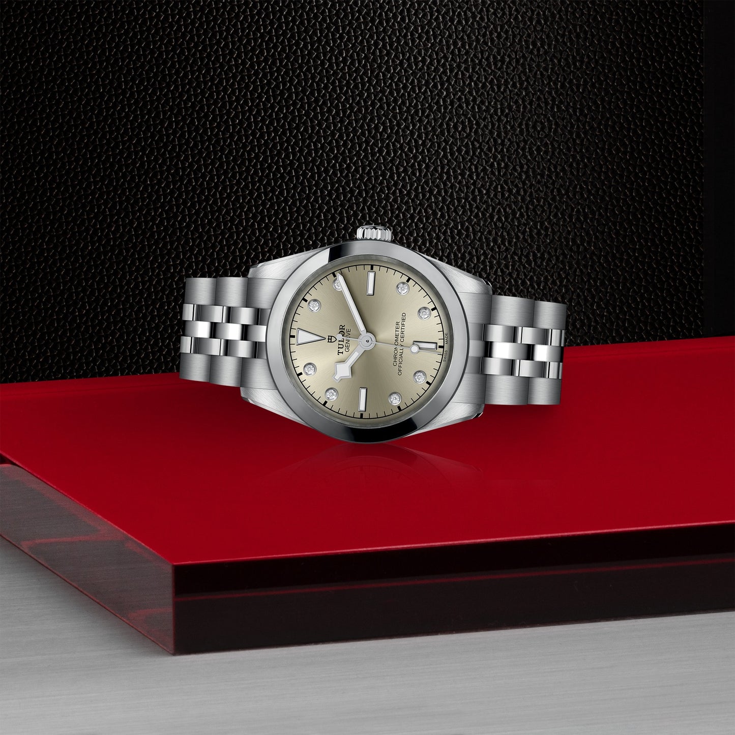 TUDOR BLACK BAY 31 M79600-0006