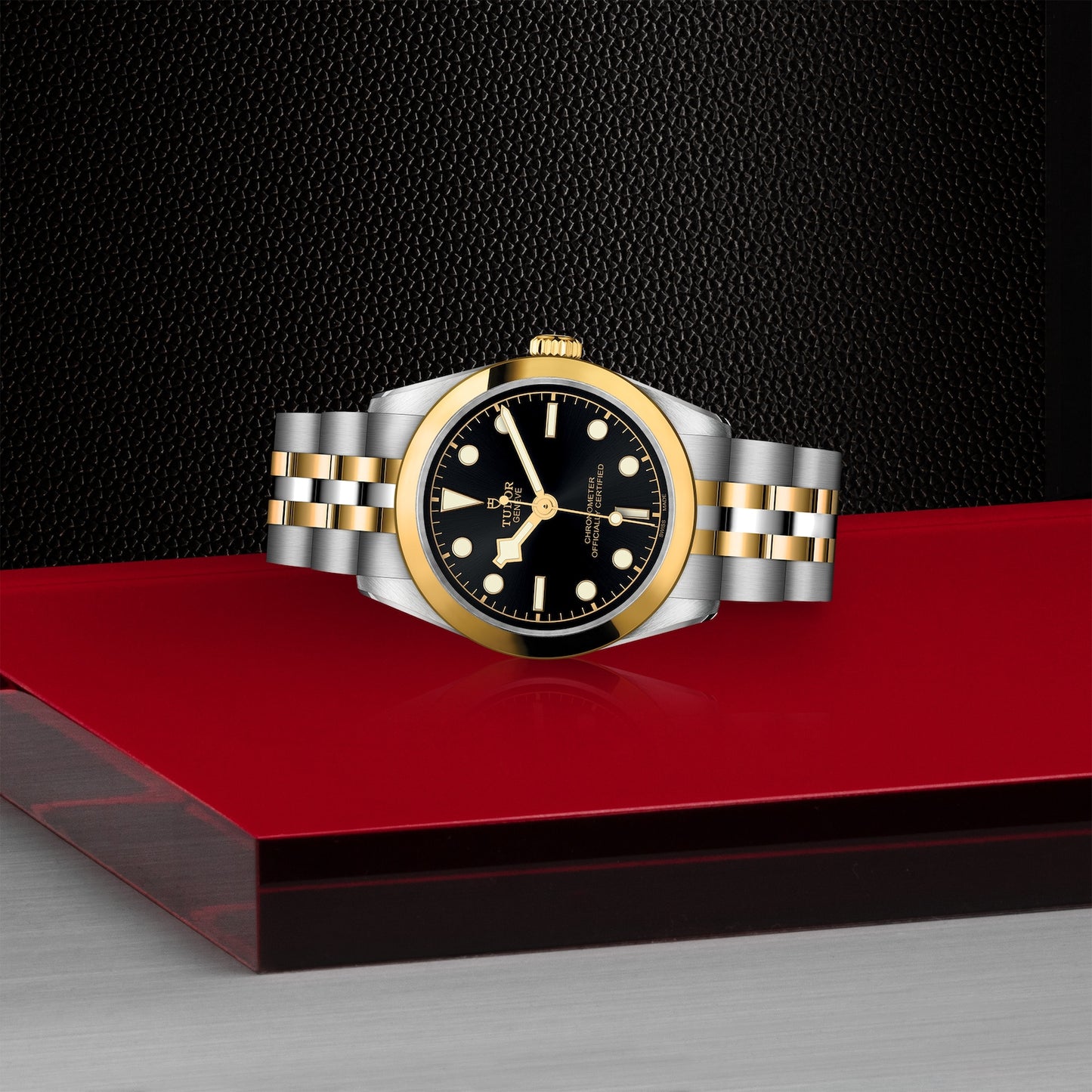 TUDOR BLACK BAY 31 S&G M79603-0001