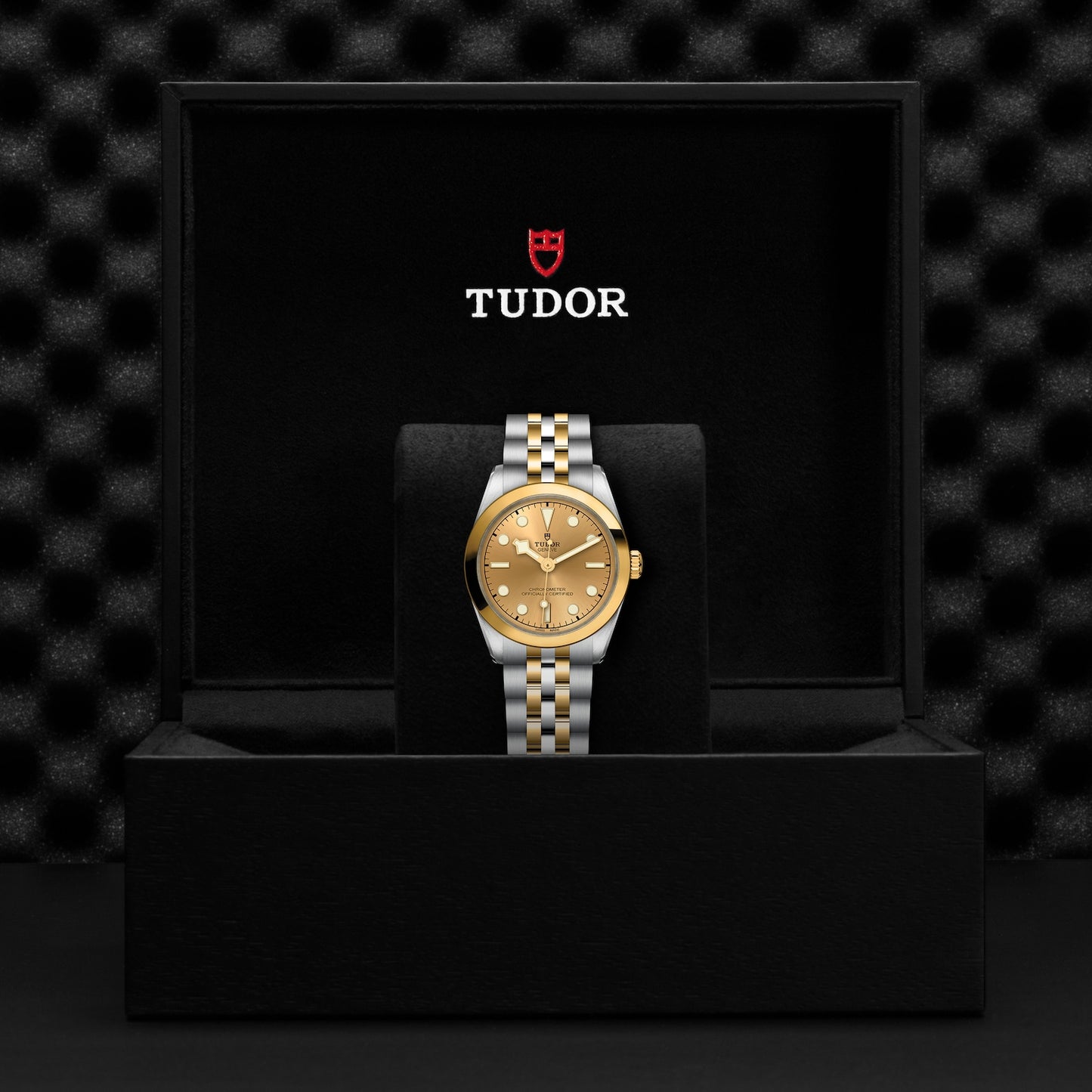 TUDOR BLACK BAY 31 S&G M79603-0005