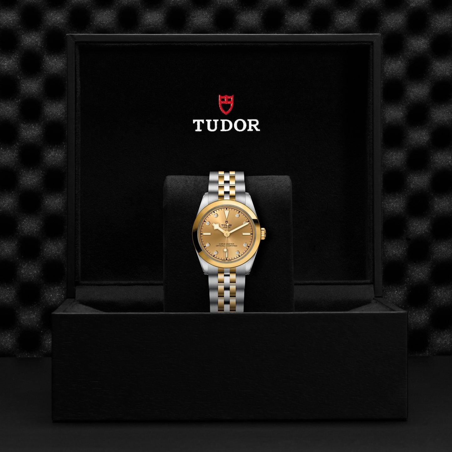 TUDOR BLACK BAY 31 S&G M79603-0008
