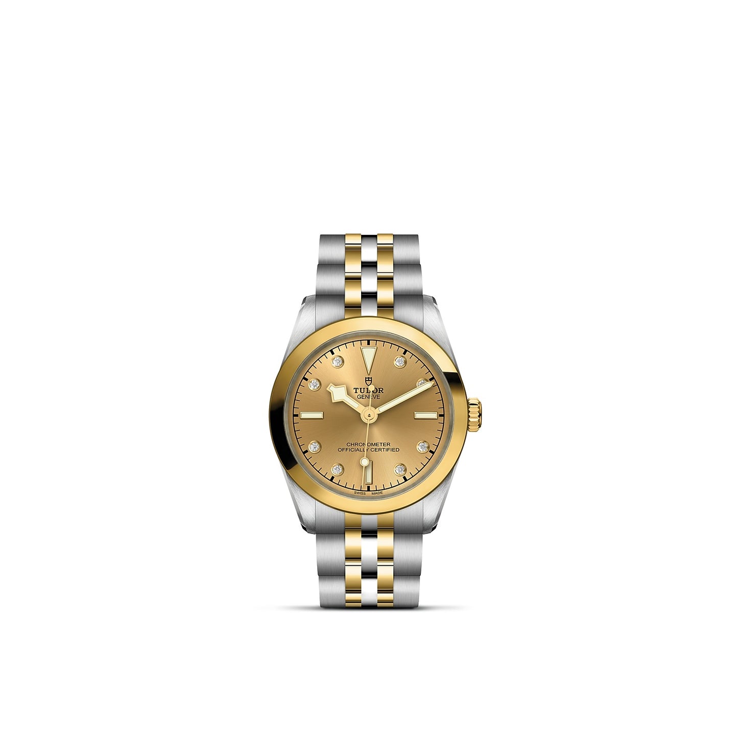 TUDOR BLACK BAY 31 S&G M79603-0008