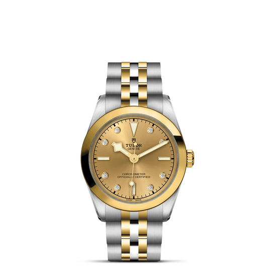 TUDOR BLACK BAY 31 S&G M79603-0008