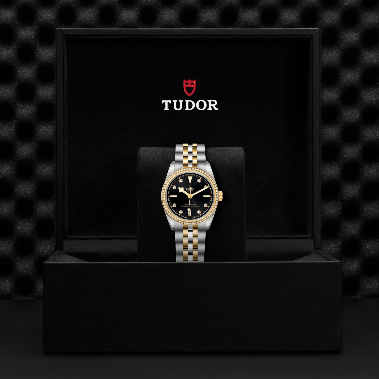 TUDOR BLACK BAY 31 S&G M79613-0005