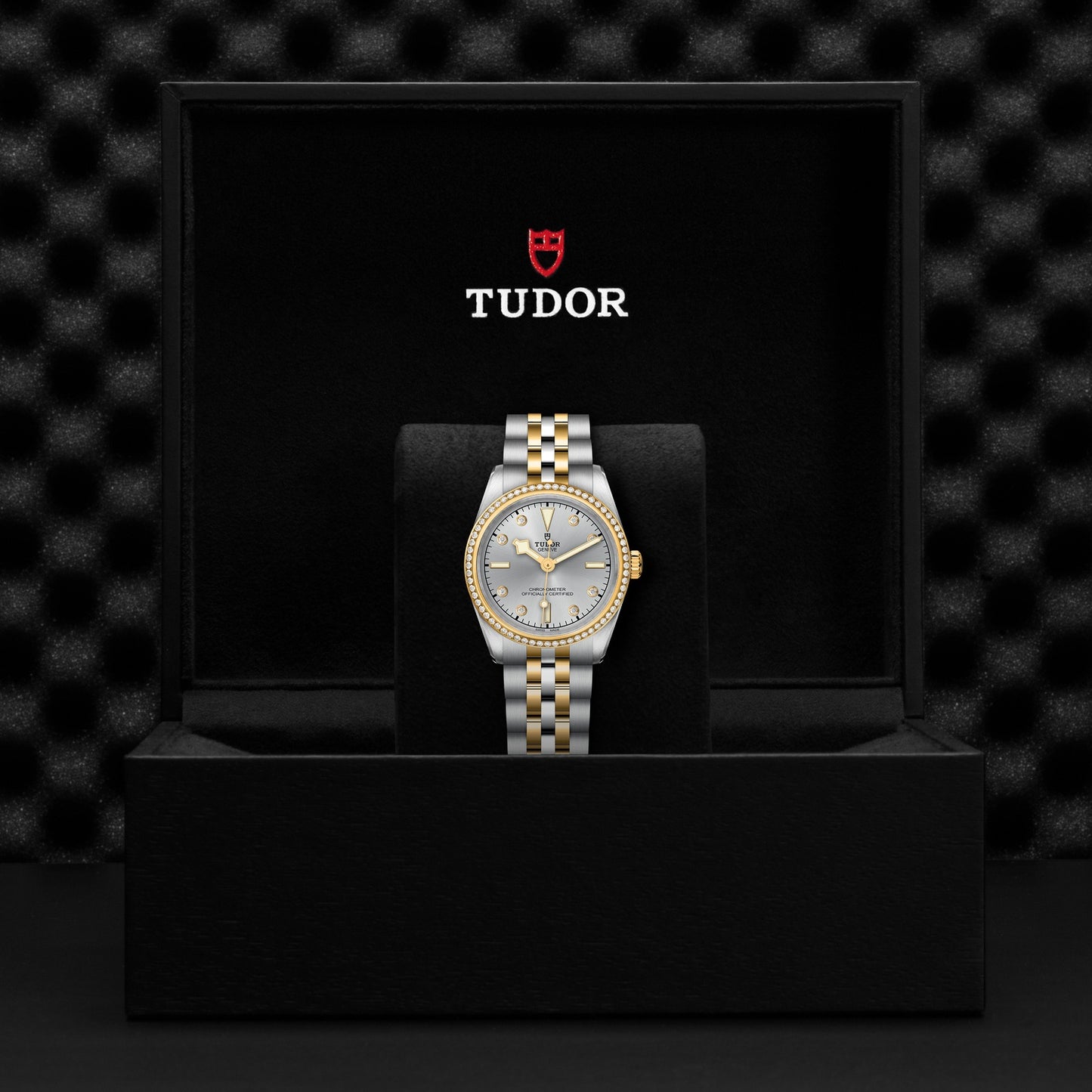 TUDOR BLACK BAY 31 S&G M79613-0006