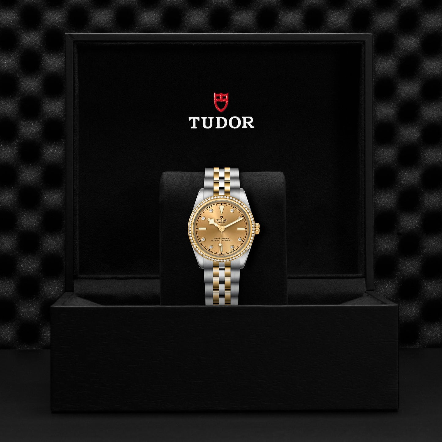 TUDOR BLACK BAY 31 S&G M79613-0007