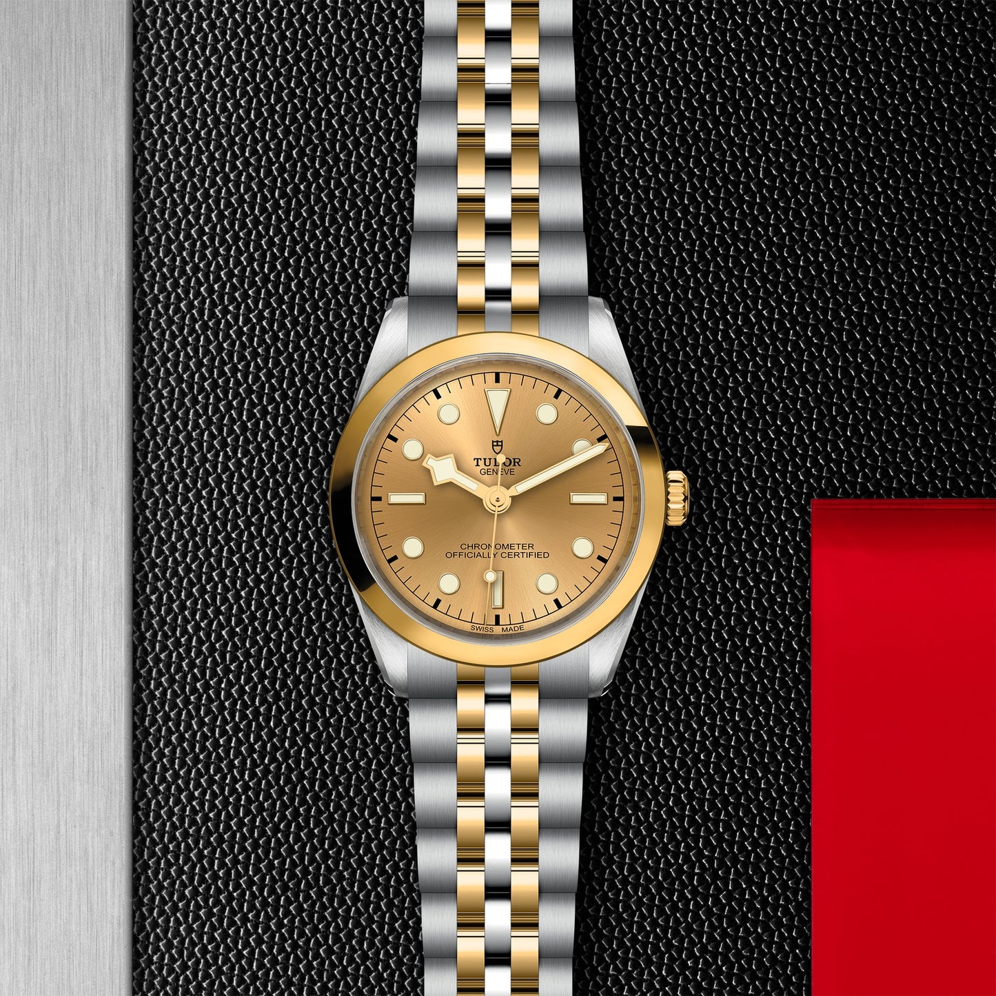 TUDOR BLACK BAY 36 S&G M79643-0005