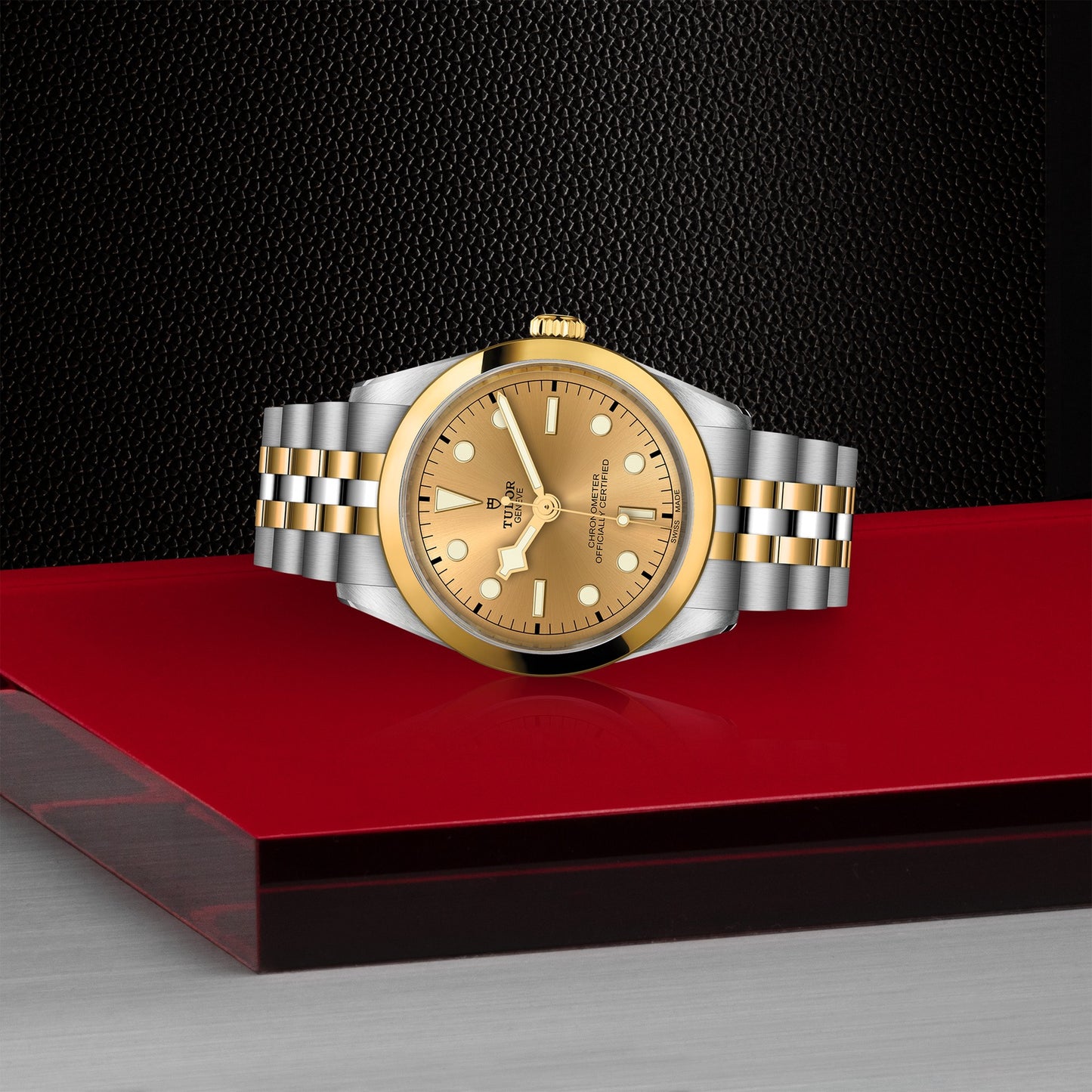 TUDOR BLACK BAY 36 S&G M79643-0005
