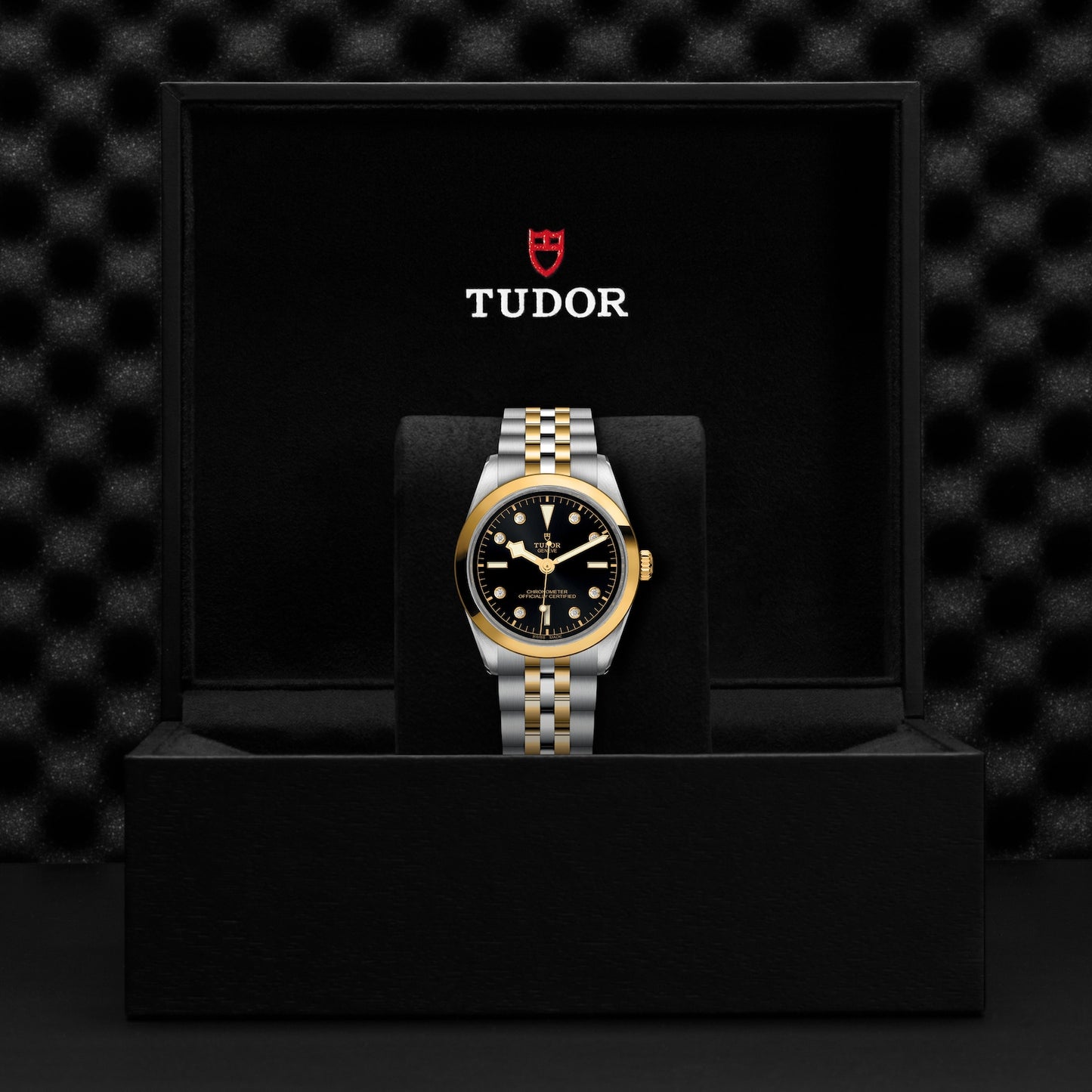 TUDOR BLACK BAY 36 S&G M79643-0006