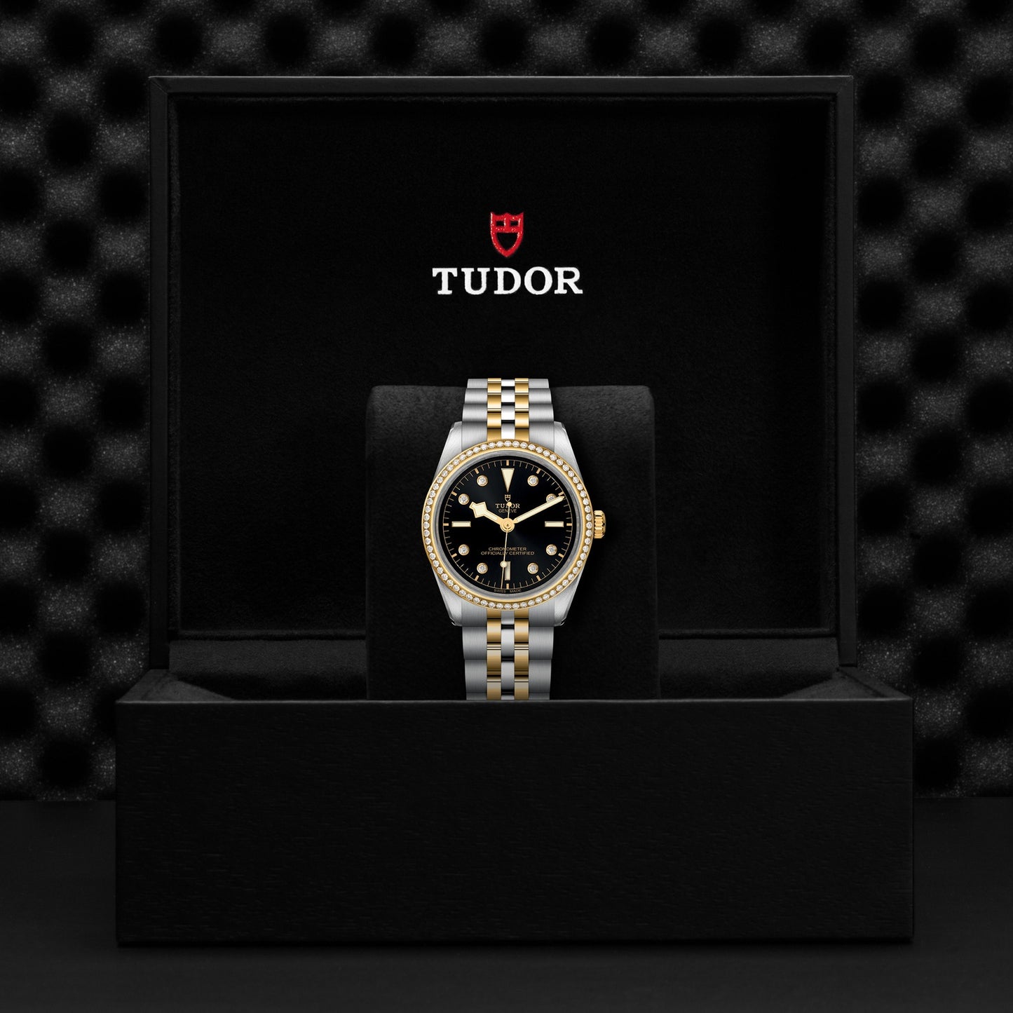 TUDOR BLACK BAY 36 S&G M79653-0005