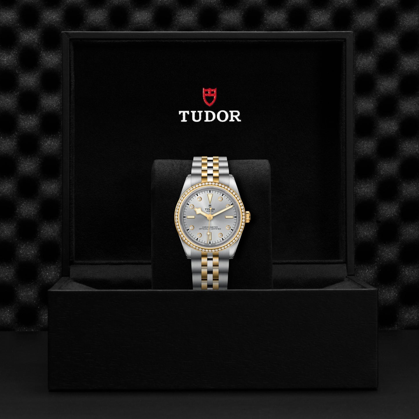 TUDOR BLACK BAY 36 S&G M79653-0006