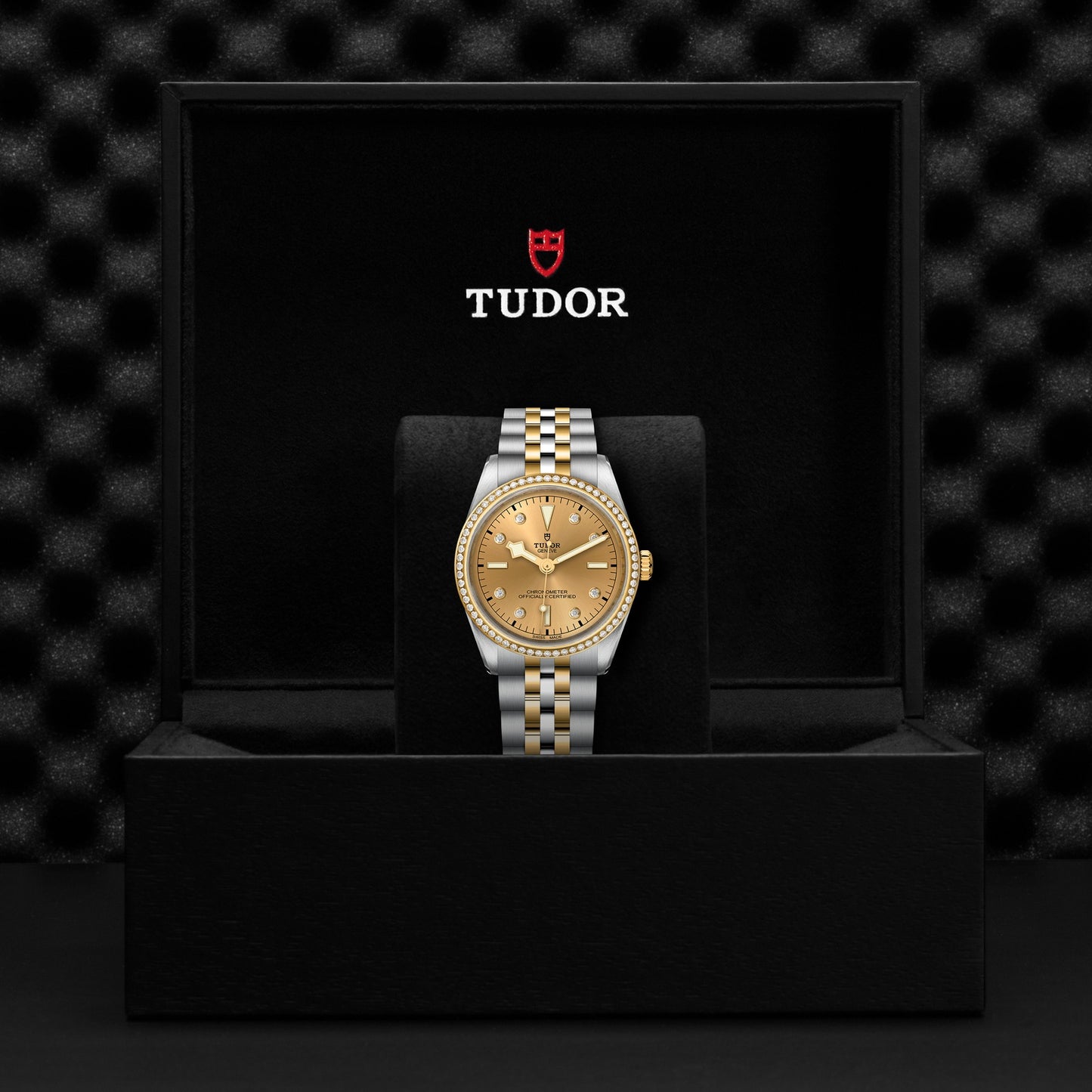 TUDOR BLACK BAY 36 S&G M79653-0007