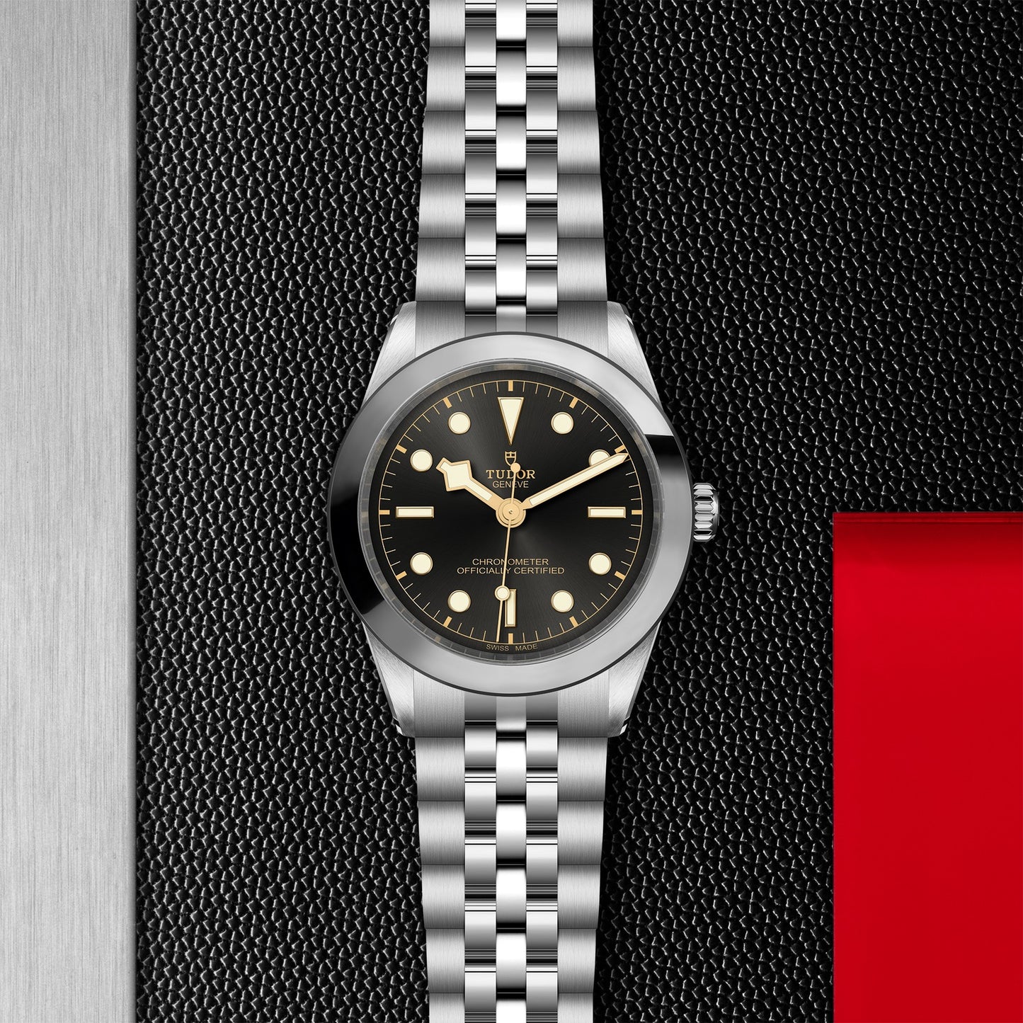 TUDOR BLACK BAY 39 M79660-0001