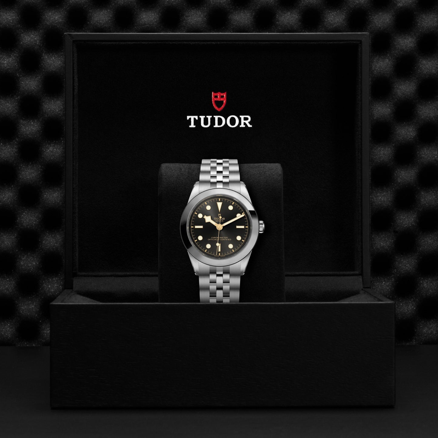 TUDOR BLACK BAY 39 M79660-0001