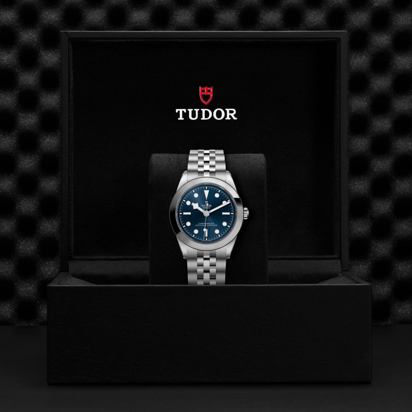 TUDOR BLACK BAY 39 M79660-0002