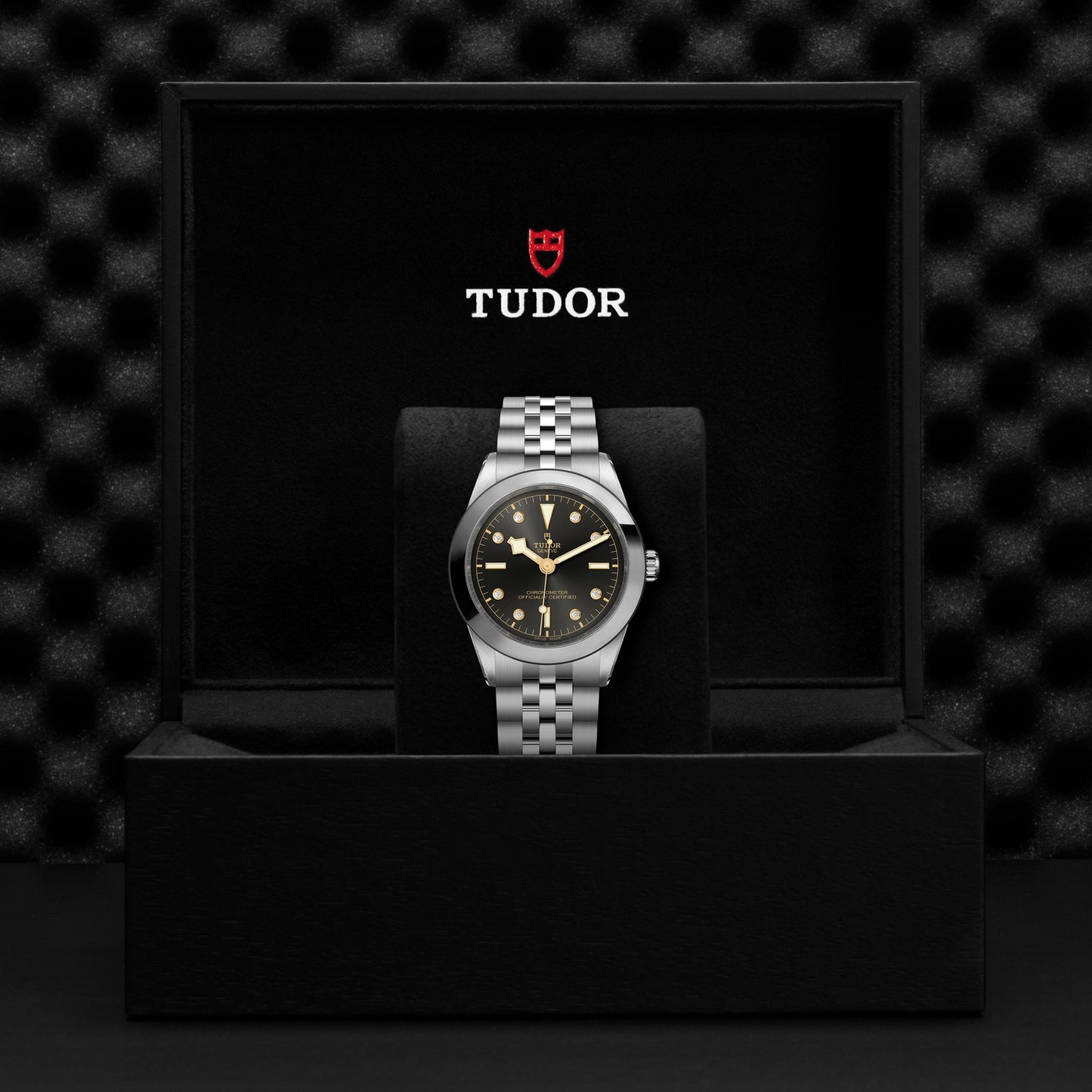 TUDOR BLACK BAY 36 M79640-0004