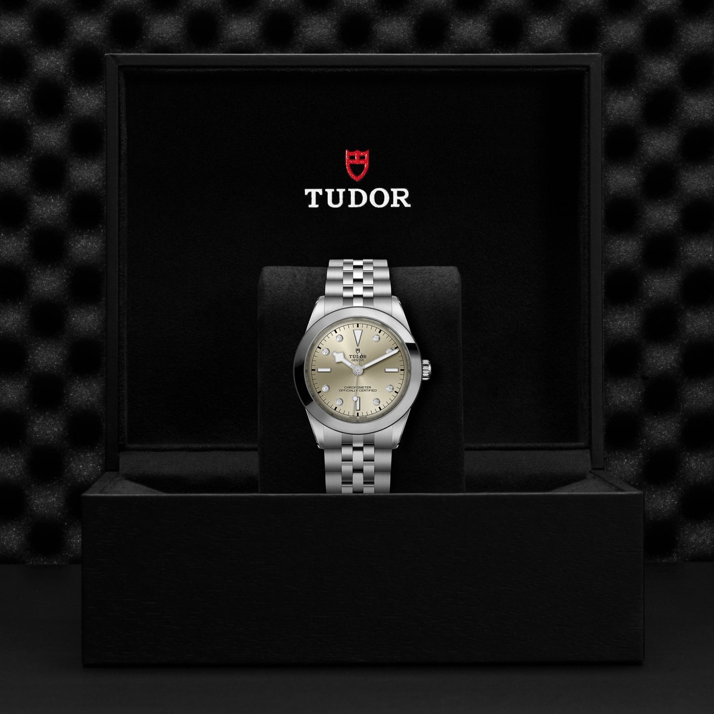 TUDOR BLACK BAY 39 M79660-0006
