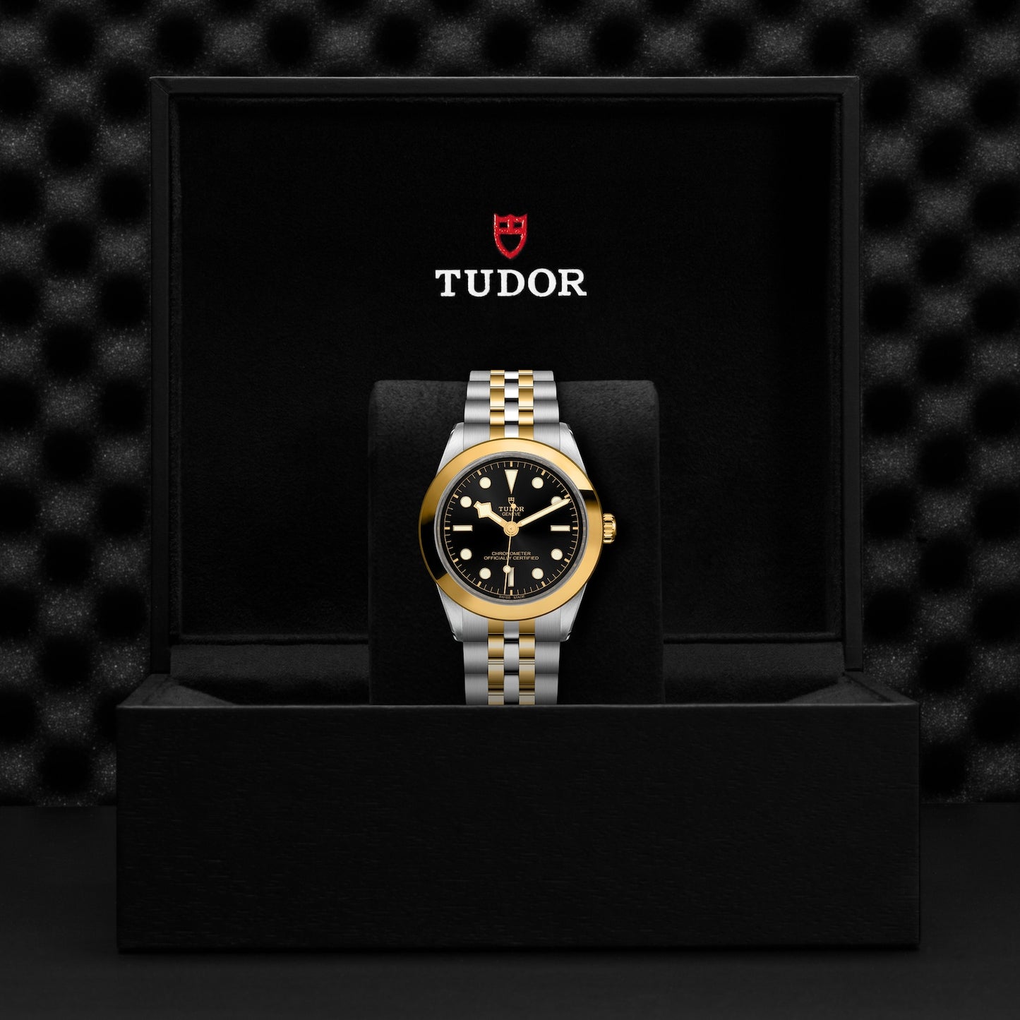 TUDOR BLACK BAY 39 S&G M79663-0001