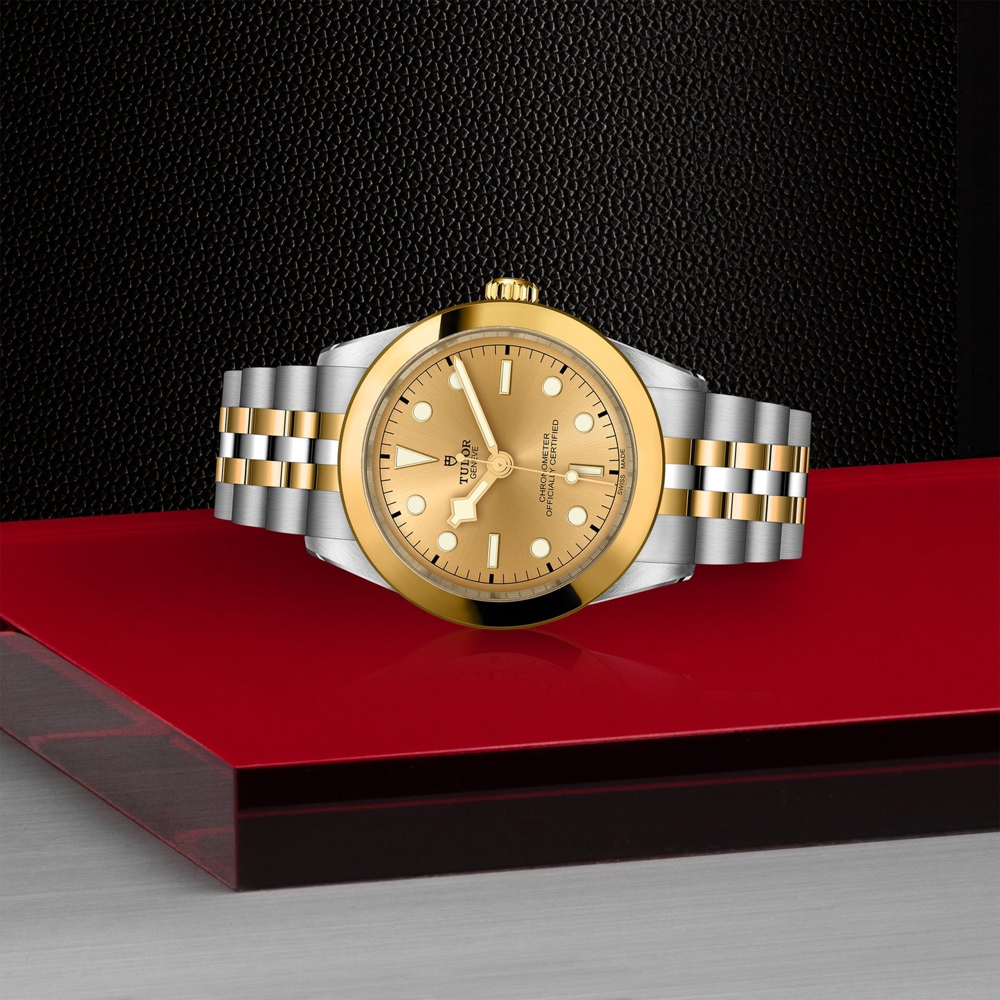 TUDOR BLACK BAY 39 S&G M79663-0005