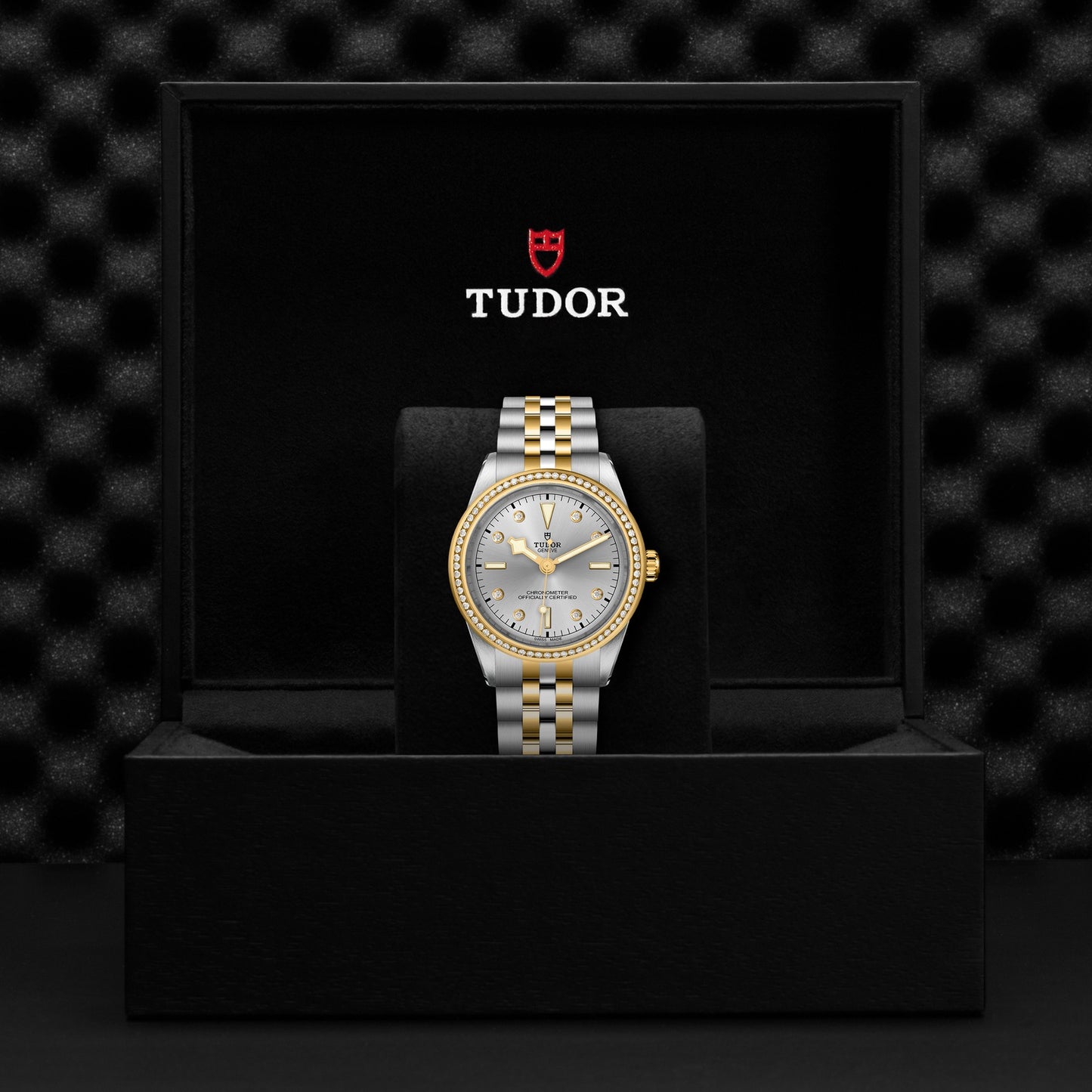 TUDOR BLACK BAY 39 S&G M79673-0006