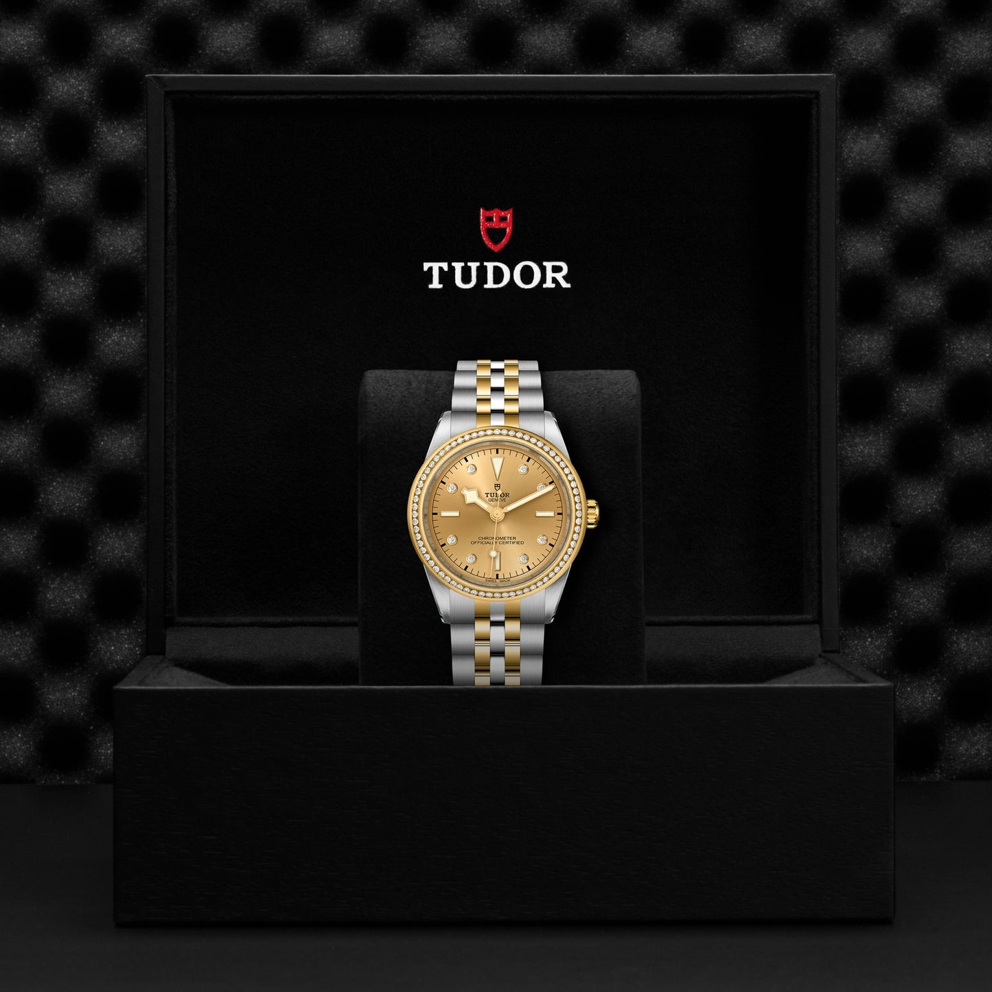 TUDOR BLACK BAY 39 S&G M79673-0007