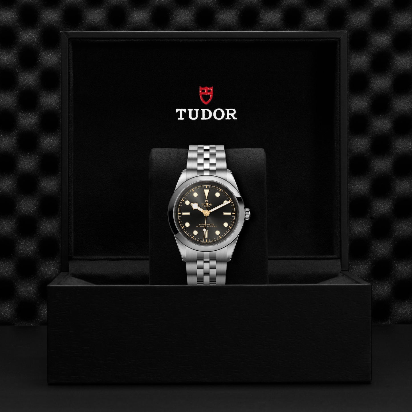 TUDOR BLACK BAY 41 M79680-0001
