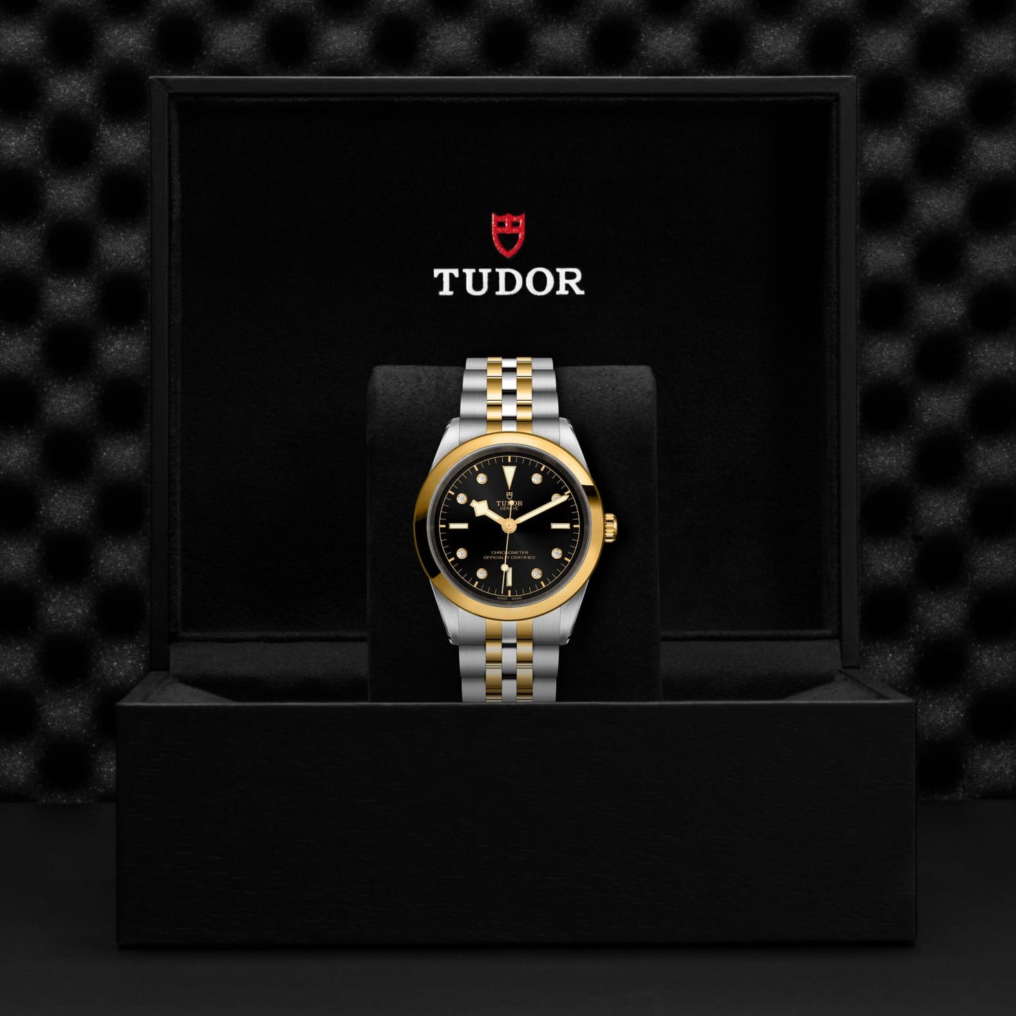 TUDOR BLACK BAY 41 S&G M79683-0006