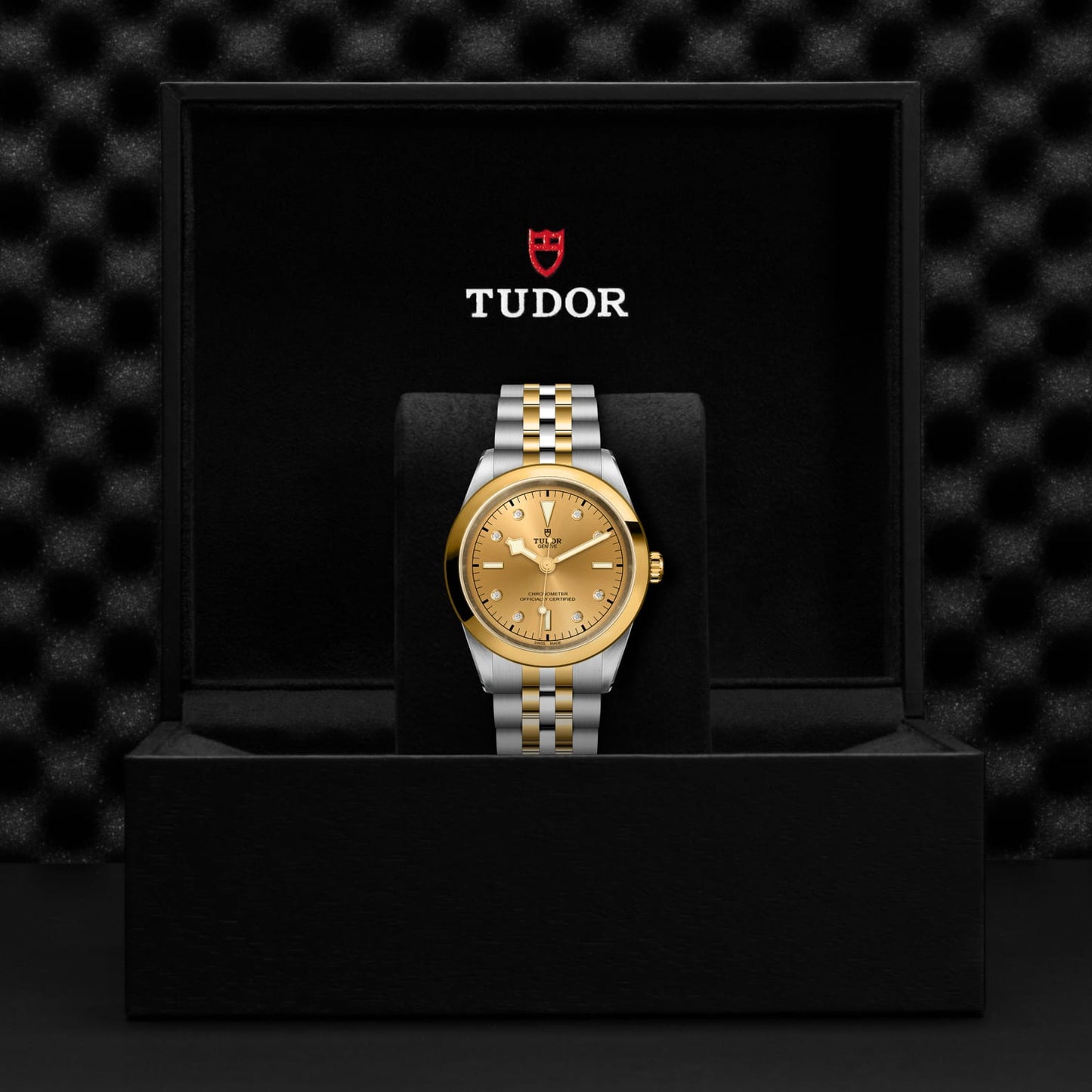 TUDOR BLACK BAY 41 S&G M79683-0008