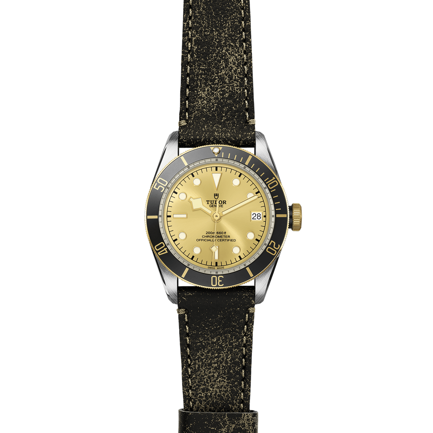 TUDOR BLACK BAY S&G M79733N-0003