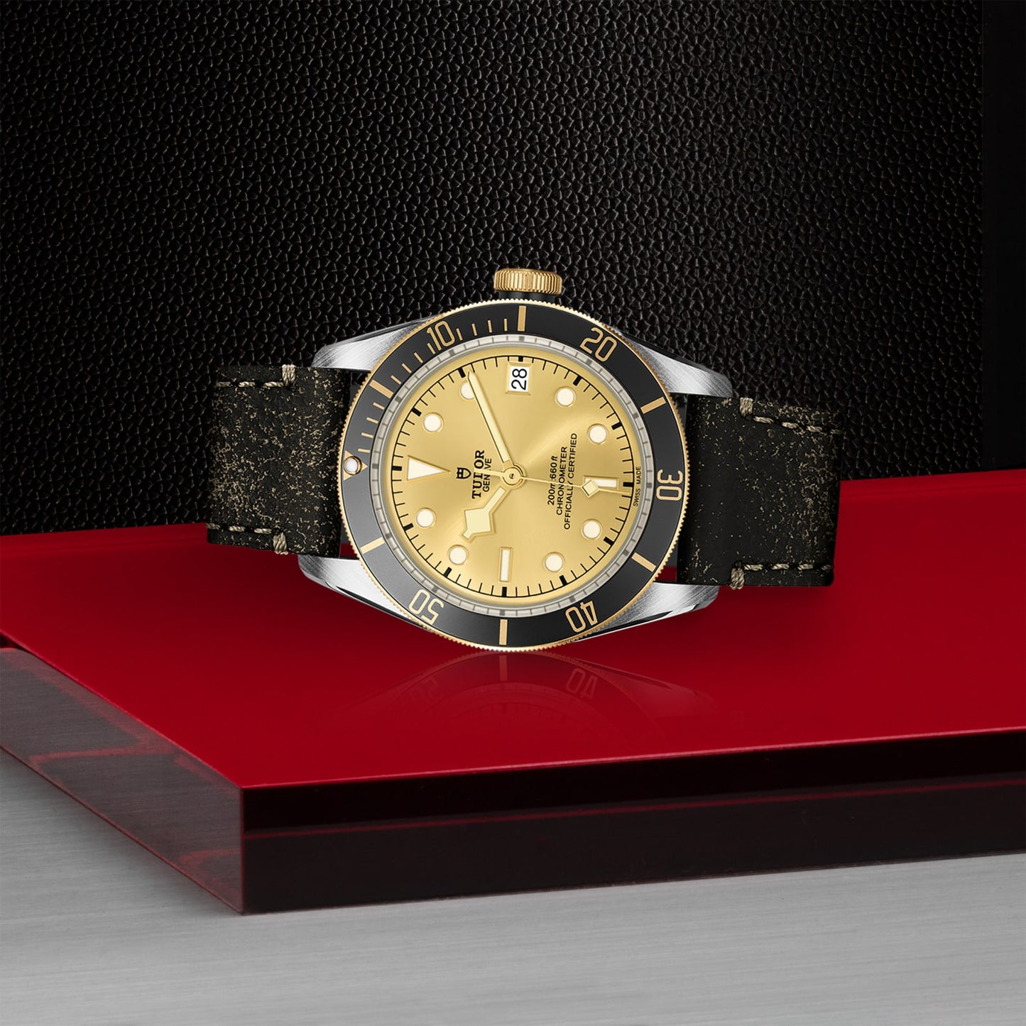 TUDOR BLACK BAY S&G M79733N-0003