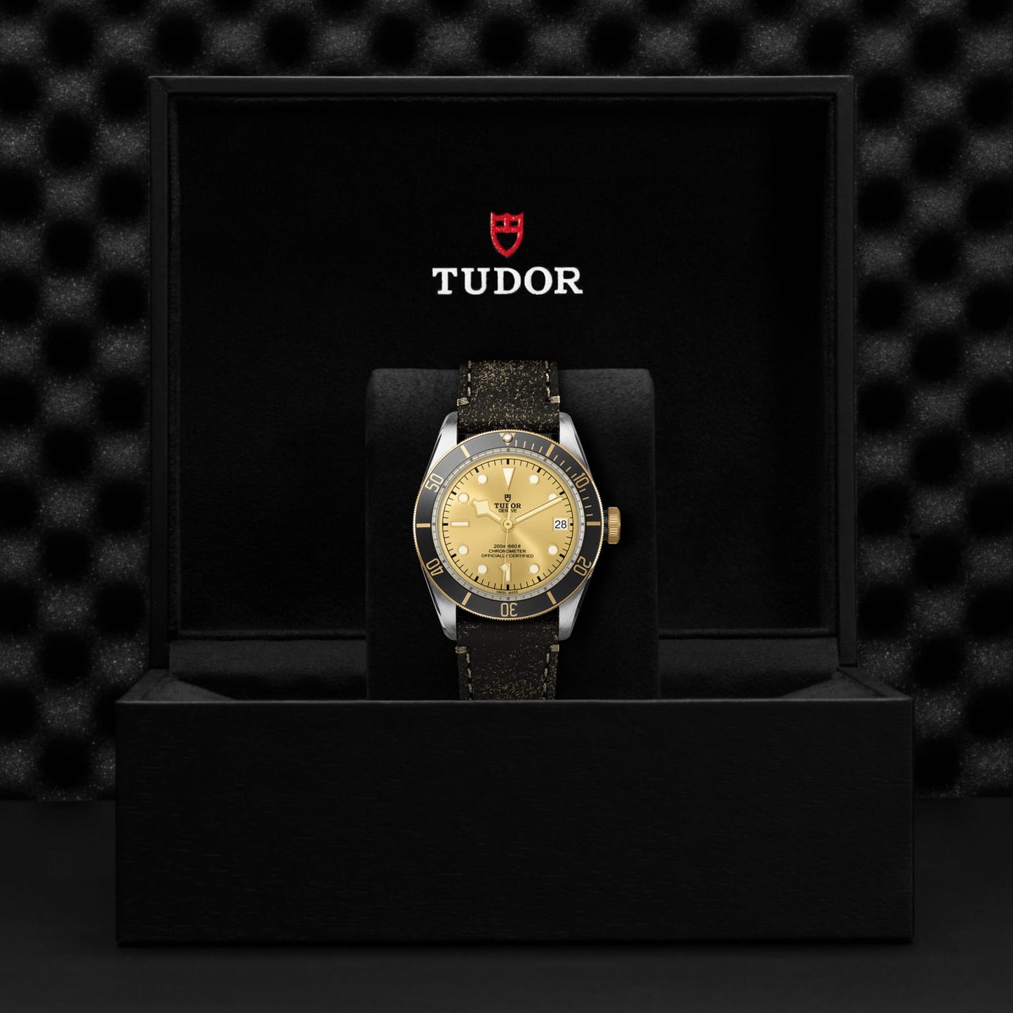 TUDOR BLACK BAY S&G M79733N-0003