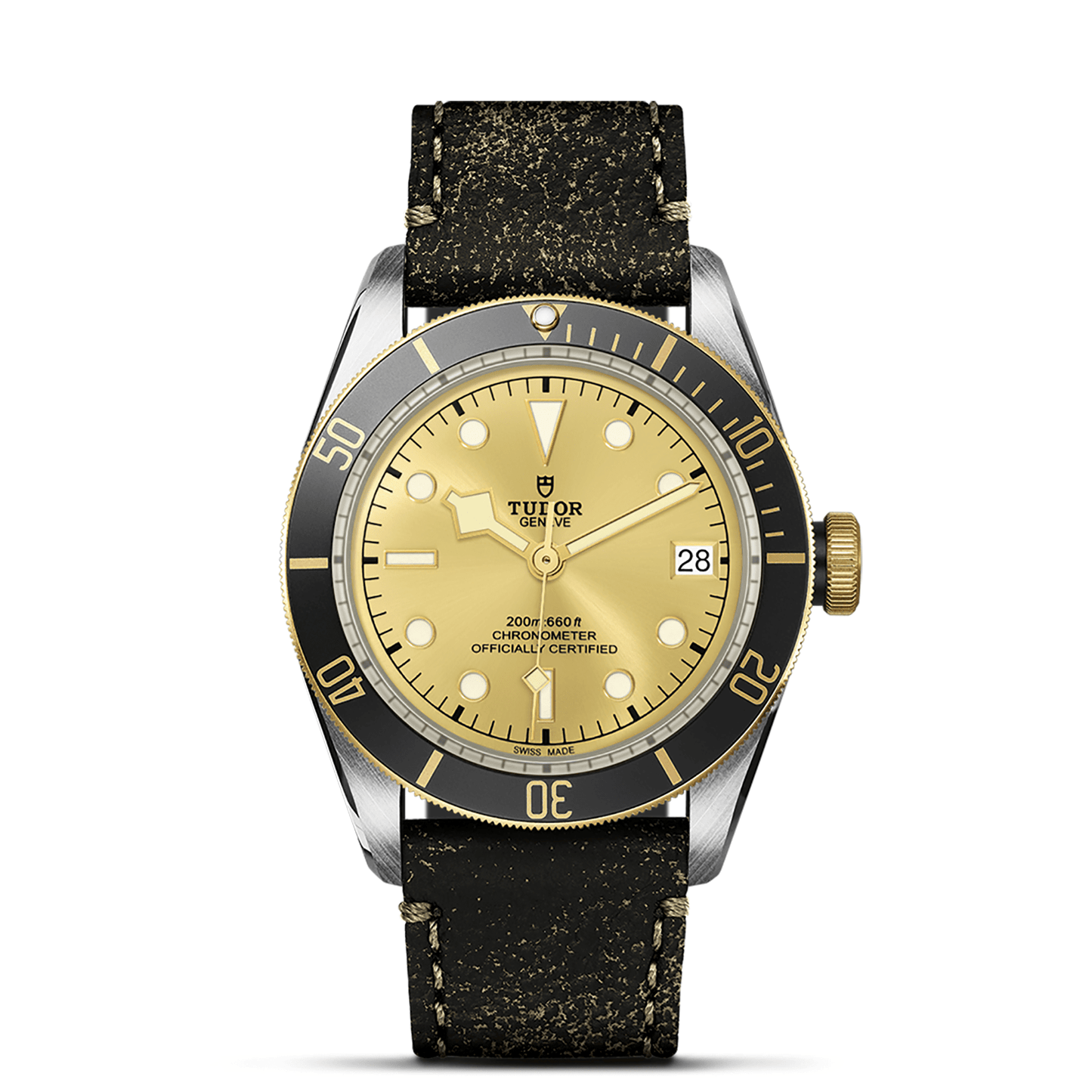 TUDOR BLACK BAY S&G M79733N-0003