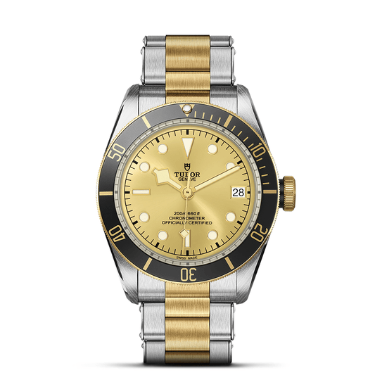 TUDOR BLACK BAY S&G M79733N-0004