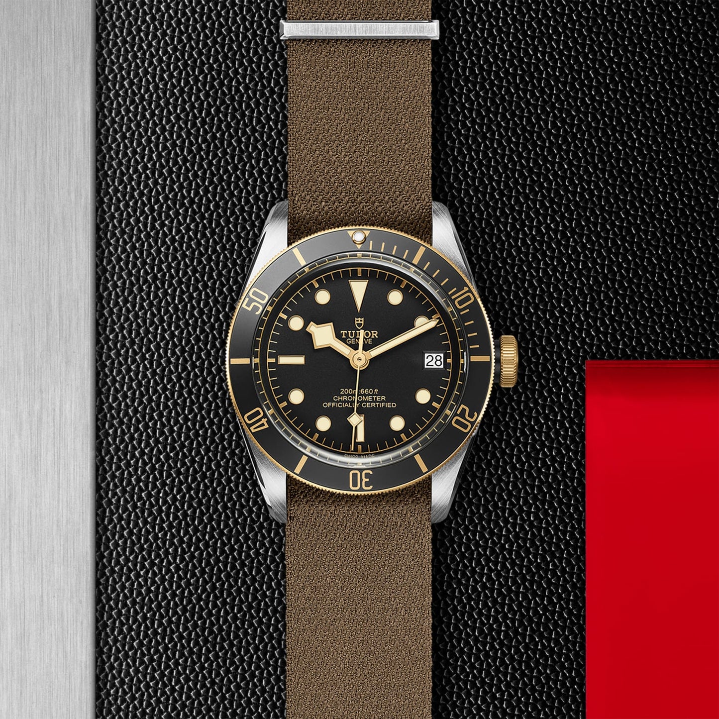 TUDOR BLACK BAY S&G M79733N-0005