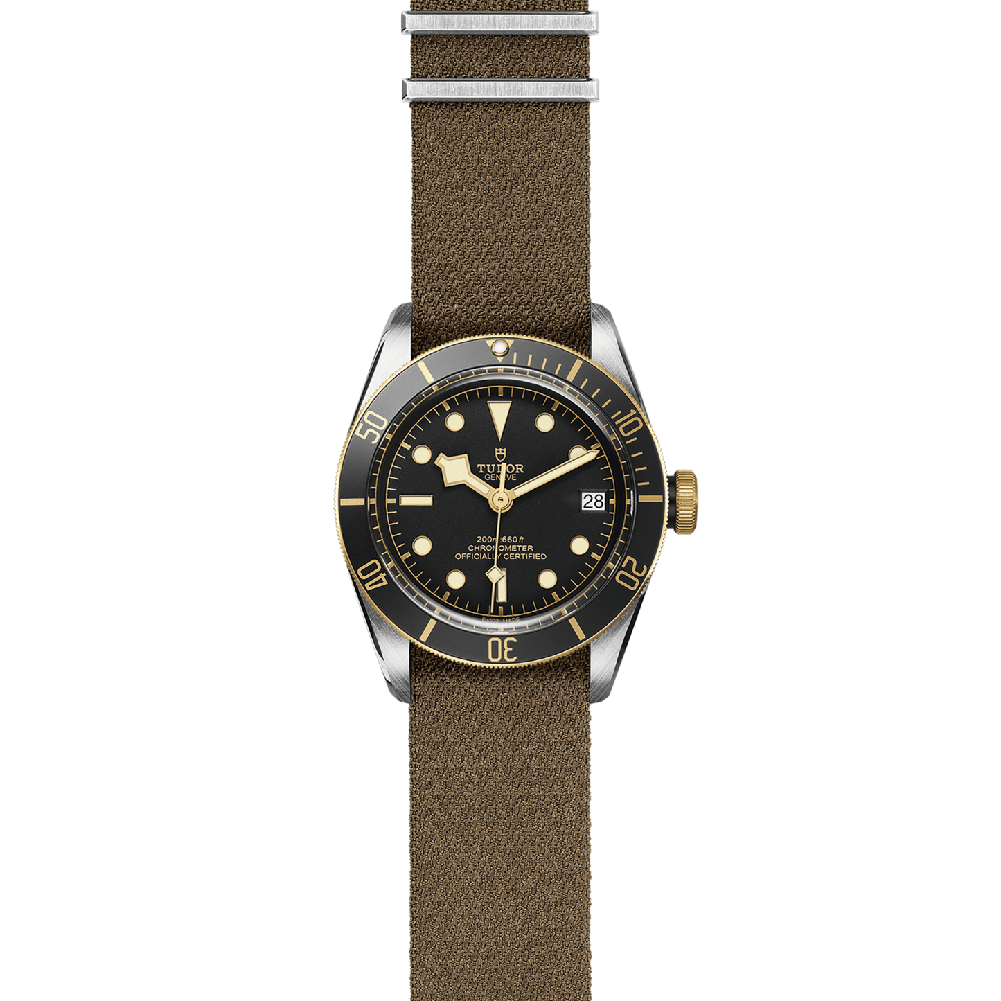 TUDOR BLACK BAY S&G M79733N-0005