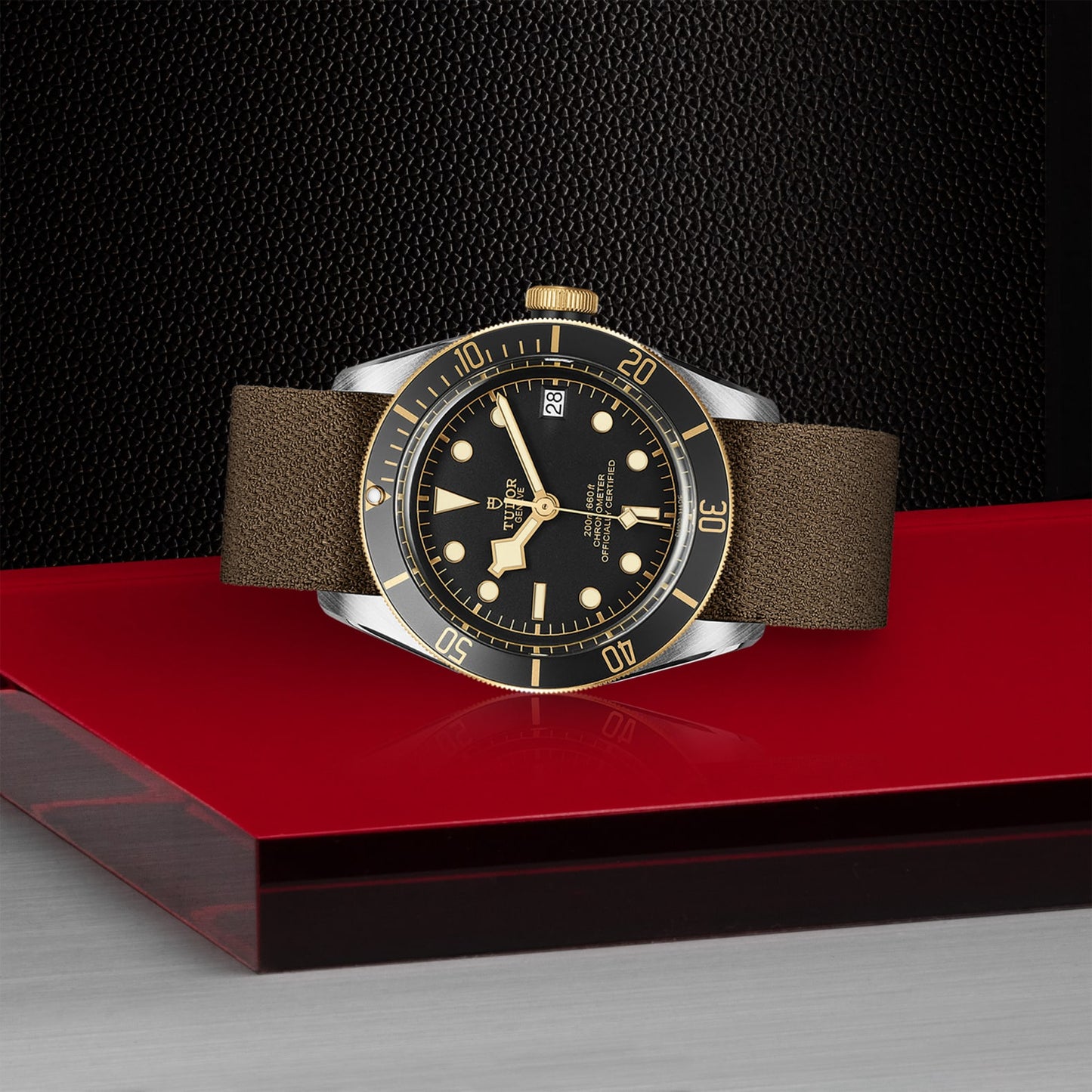 TUDOR BLACK BAY S&G M79733N-0005