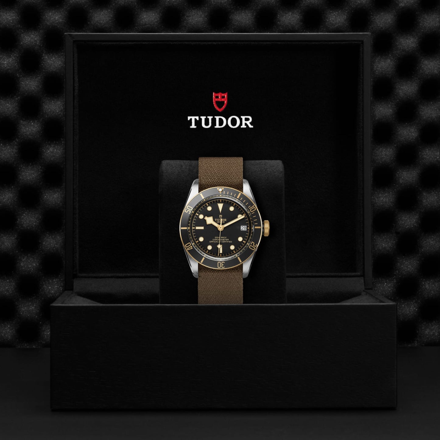 TUDOR BLACK BAY S&G M79733N-0005