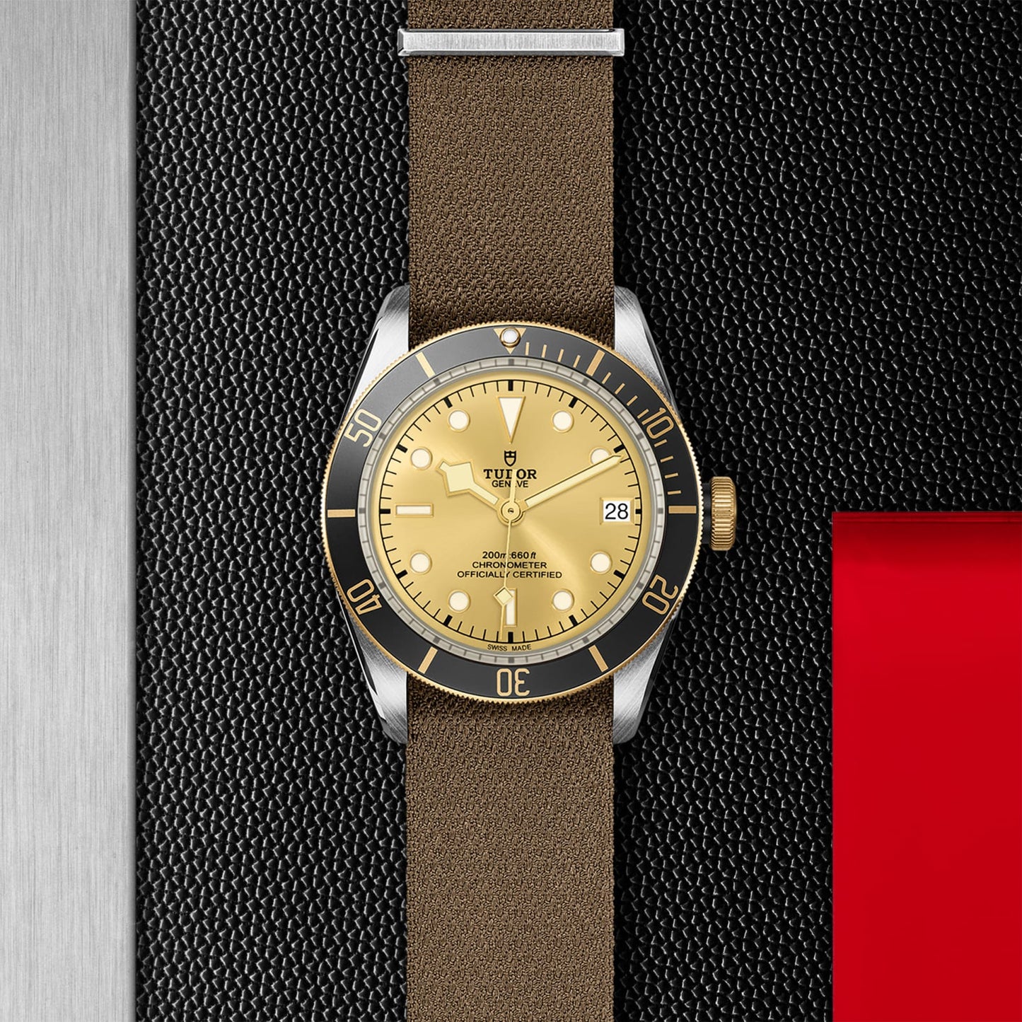 TUDOR BLACK BAY S&G M79733N-0006