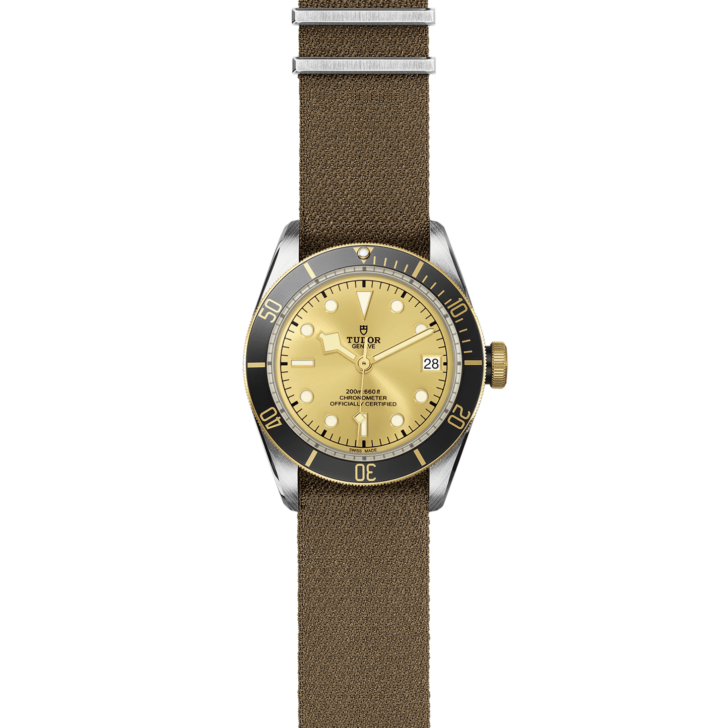 TUDOR BLACK BAY S&G M79733N-0006