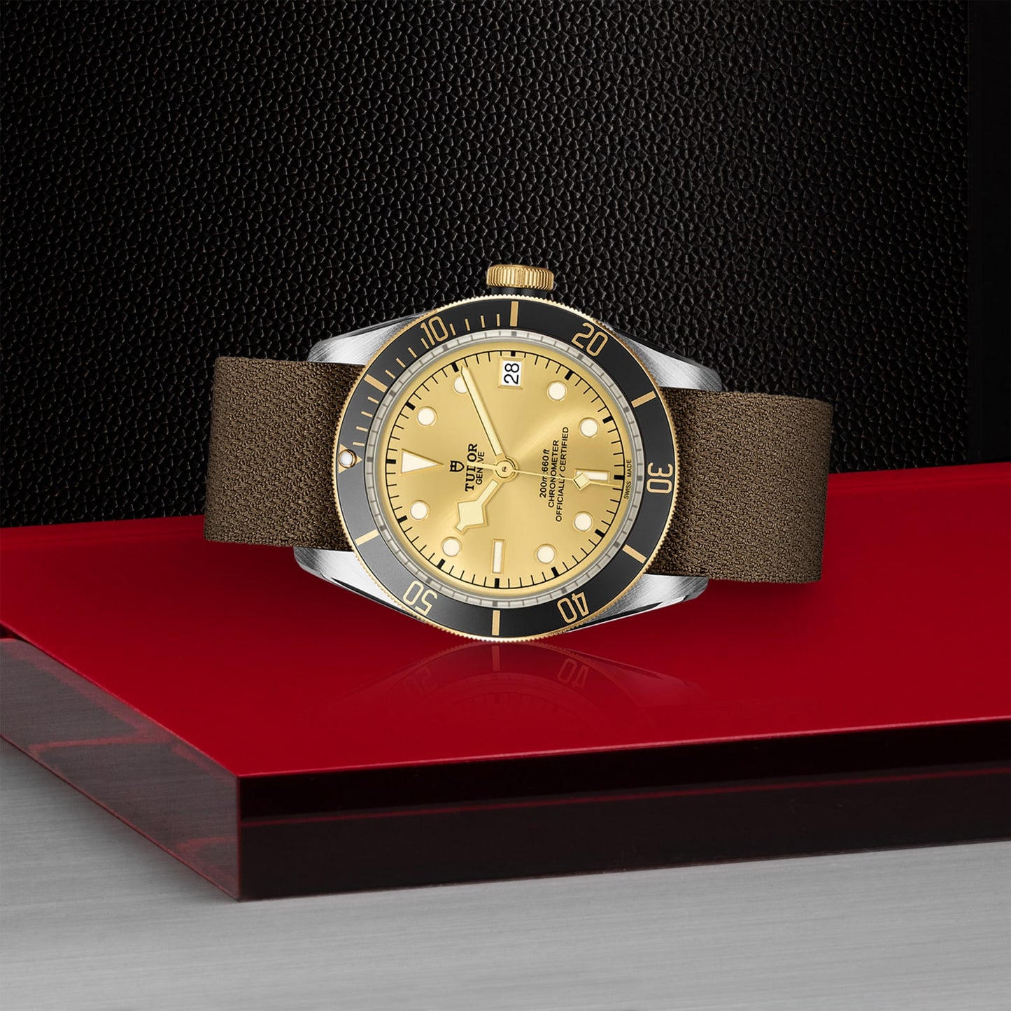 TUDOR BLACK BAY S&G M79733N-0006