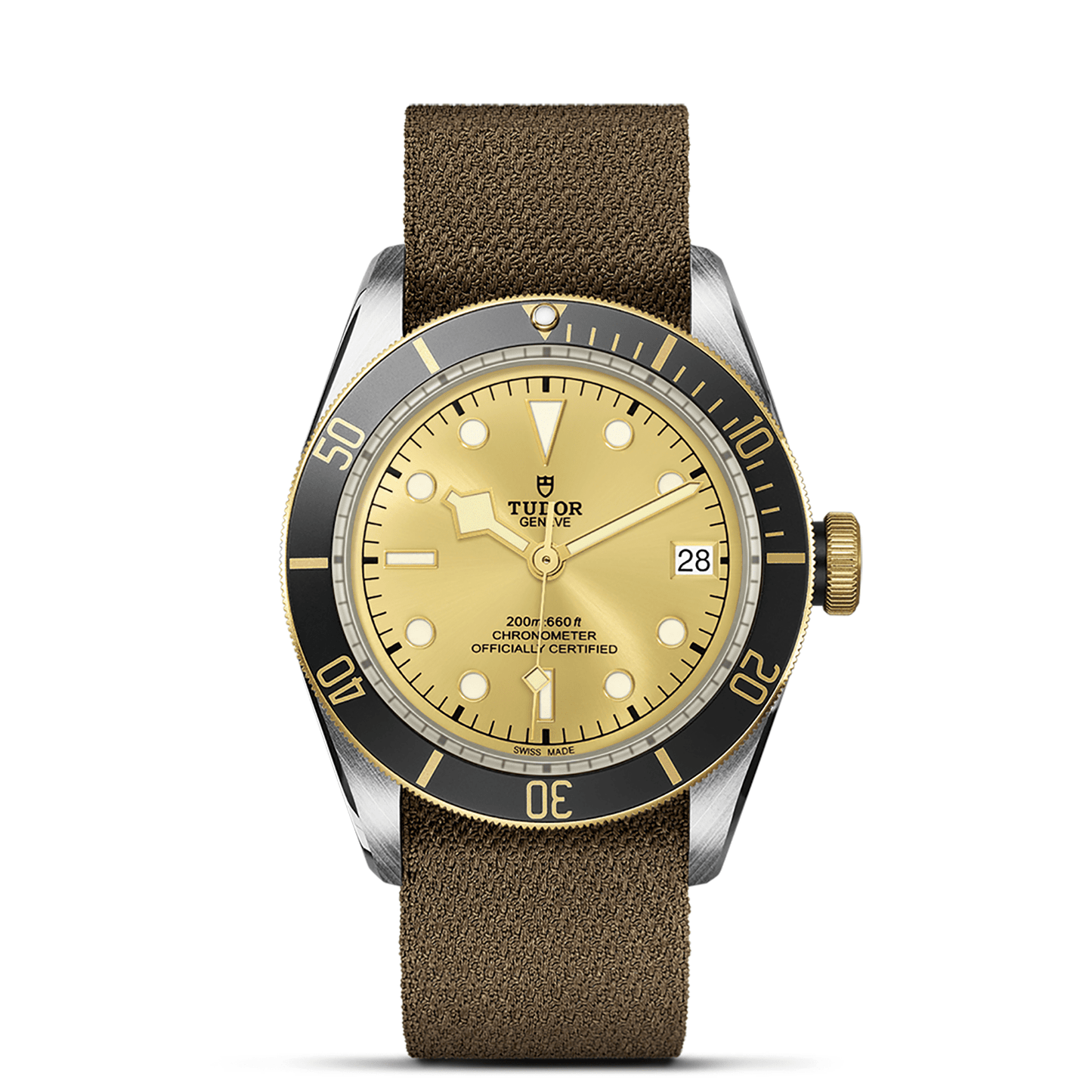TUDOR BLACK BAY S&G M79733N-0006