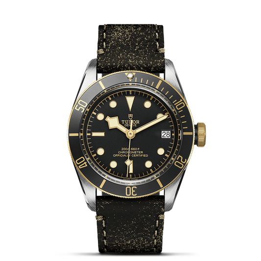 TUDOR BLACK BAY S&G M79733N-0007