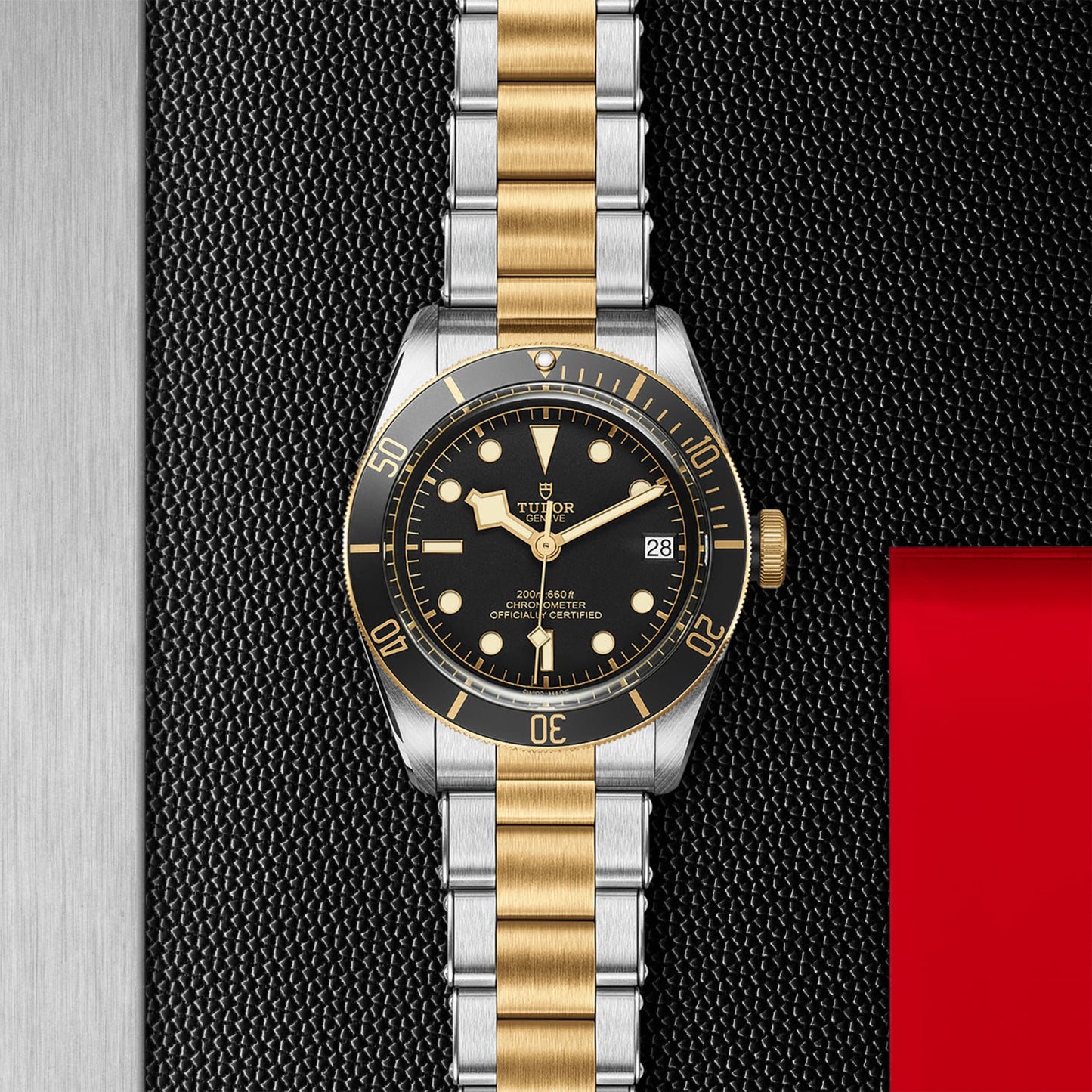 TUDOR BLACK BAY S&G M79733N-0008