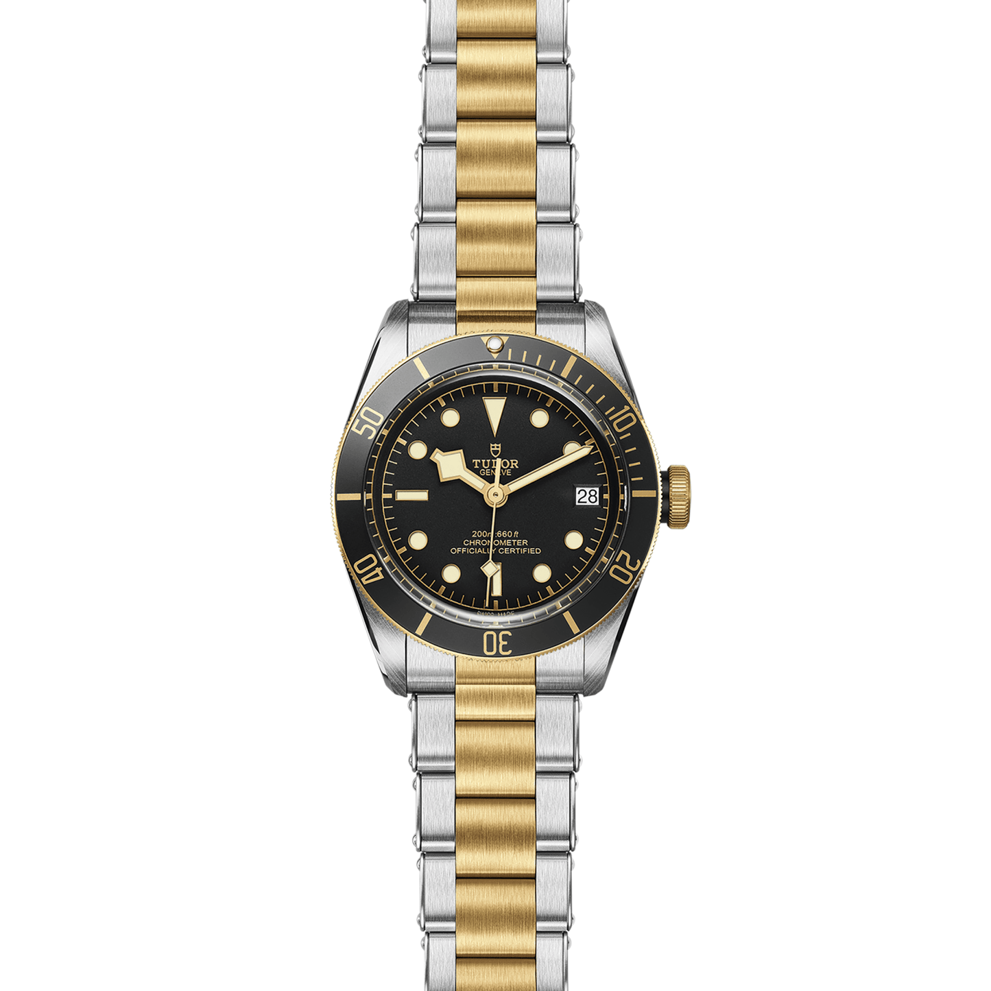 TUDOR BLACK BAY S&G M79733N-0008
