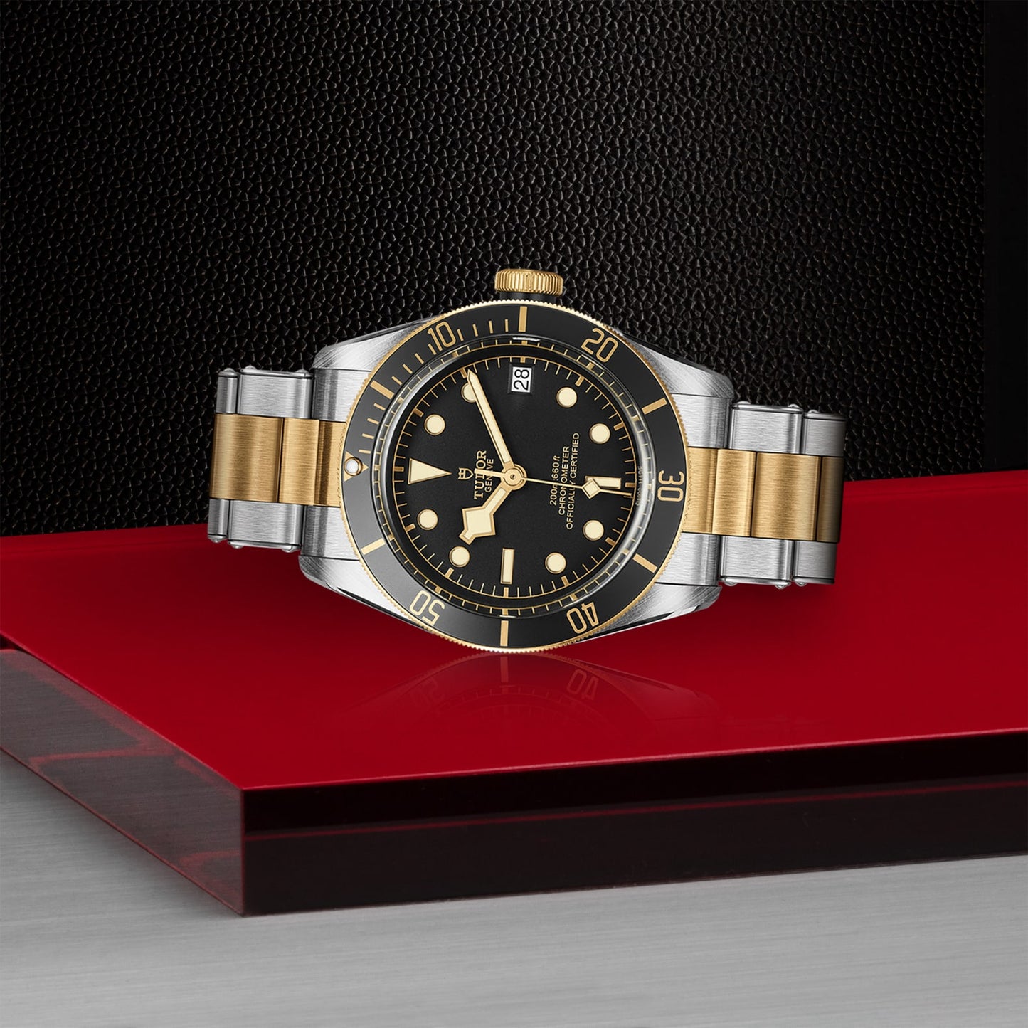 TUDOR BLACK BAY S&G M79733N-0008